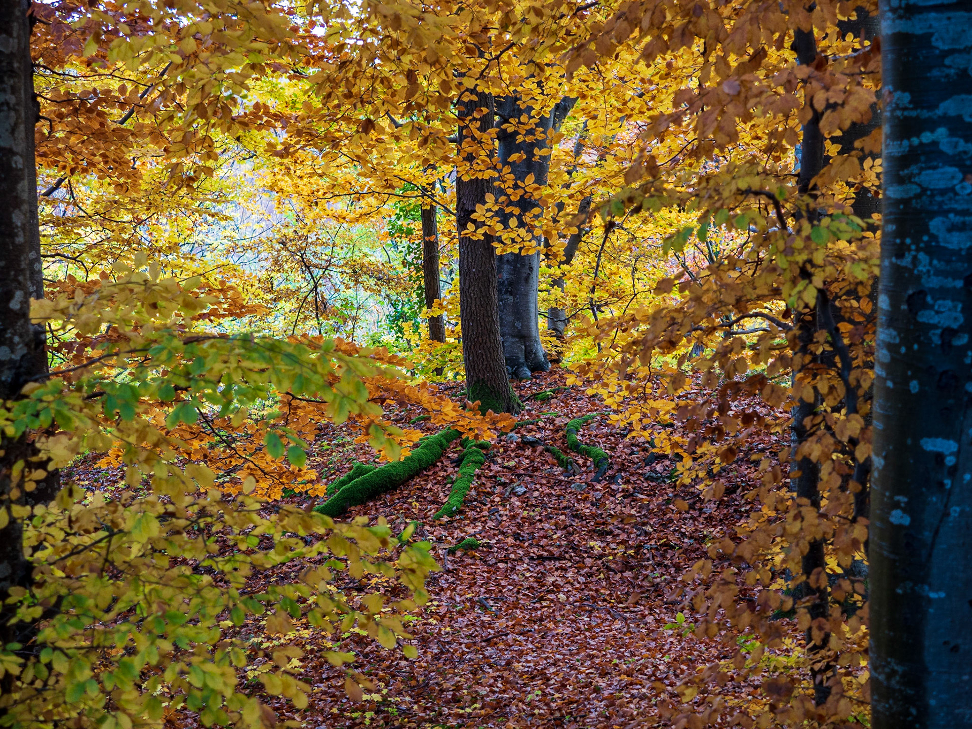 Rund um den Hohenneuffen