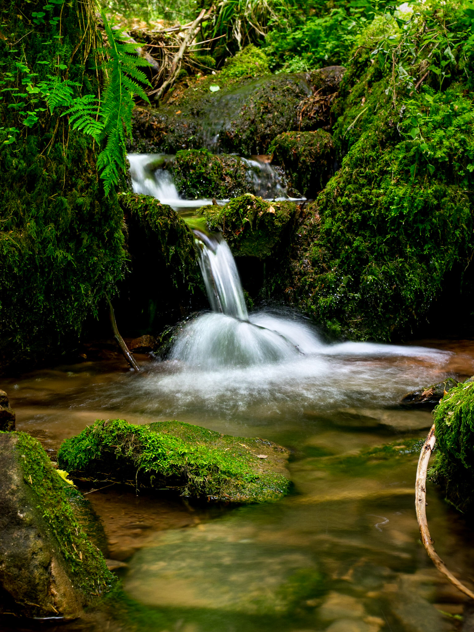 Rötelbach Schwarzwald