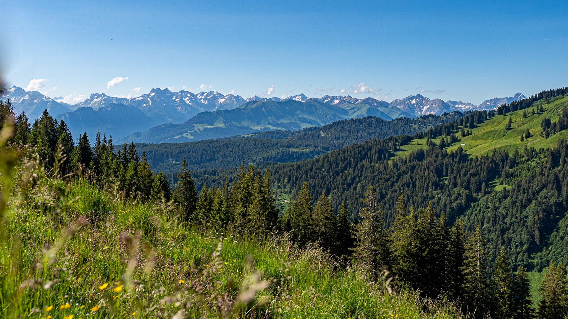 mit Weiherkopf, Rangiswanger Horn, bis kurz vor das Sigiswanger Horn und wieder zurück