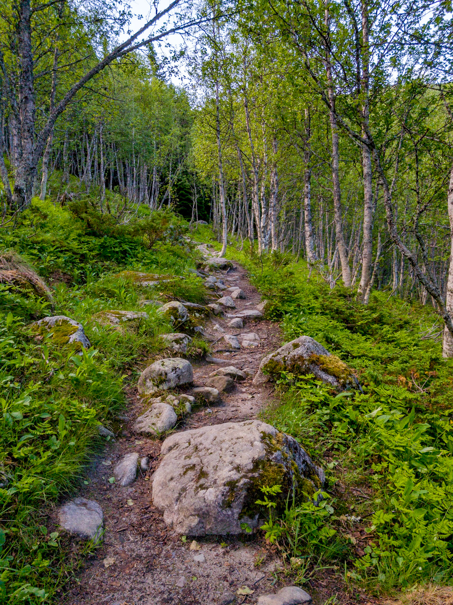 Auf geht´s zur nächsten Wanderung zum Hivjufossen

Let´s get on with the next hike to Hivjufossen