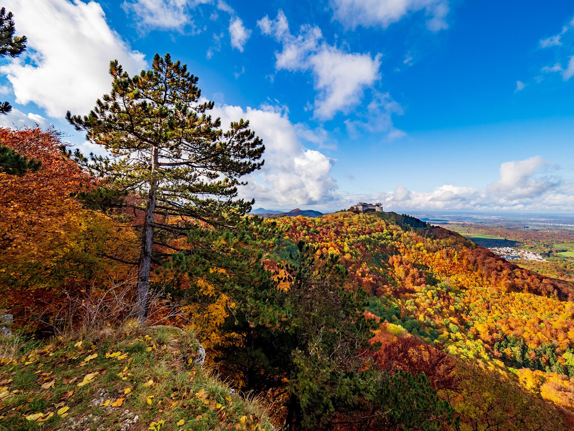 Rund um den Hohenneuffen