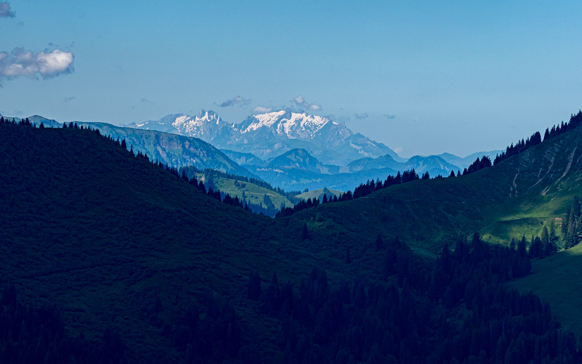 mit Weiherkopf, Rangiswanger Horn, bis kurz vor das Sigiswanger Horn und wieder zurück