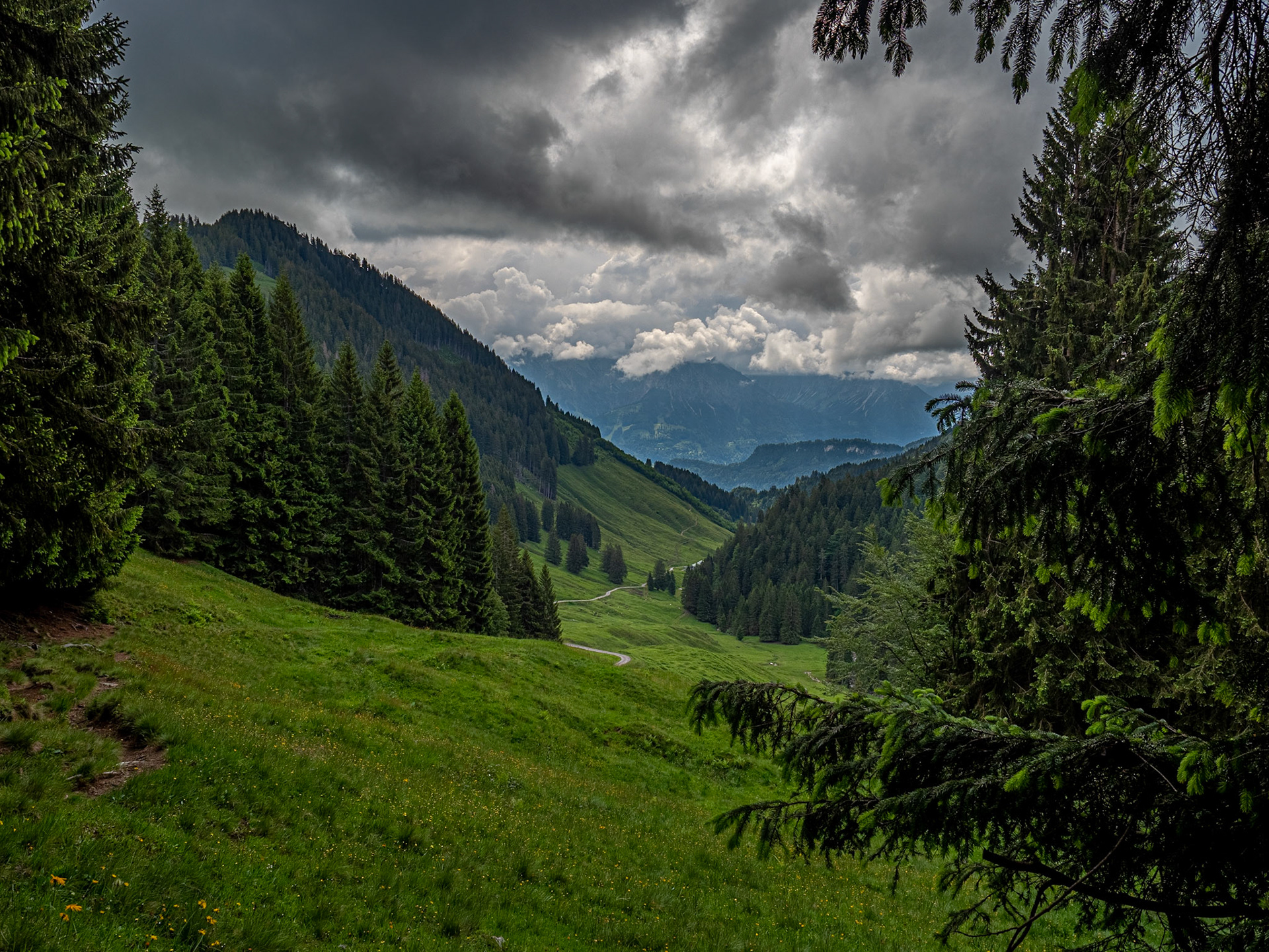 über die Alpe Hinteregg und die Alpe Zunkleiten