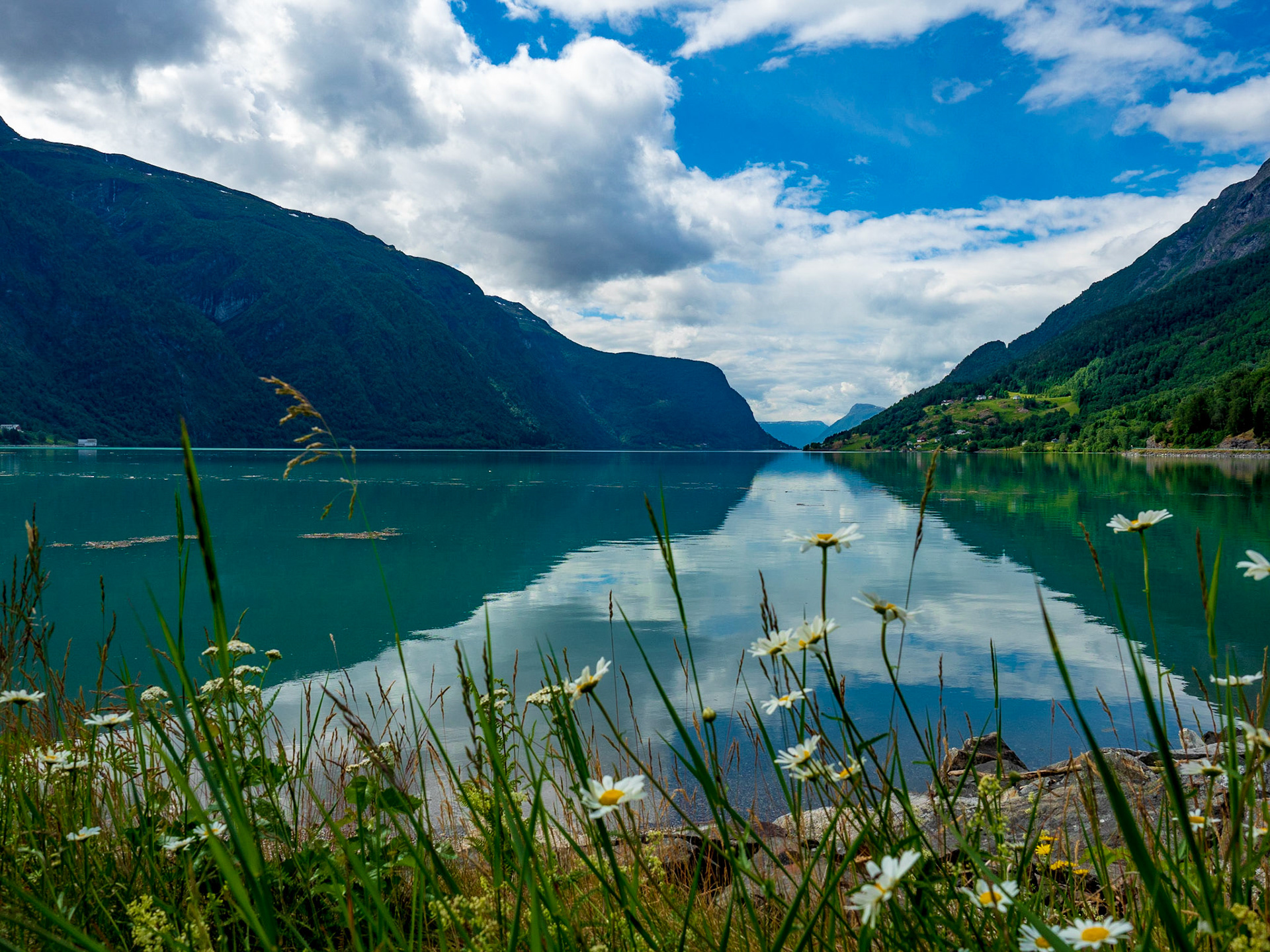Traumhafte Aussicht auf den Lustrafjorden in Norwegen

Fabulous view to to the Lustrafjorden in Norway
