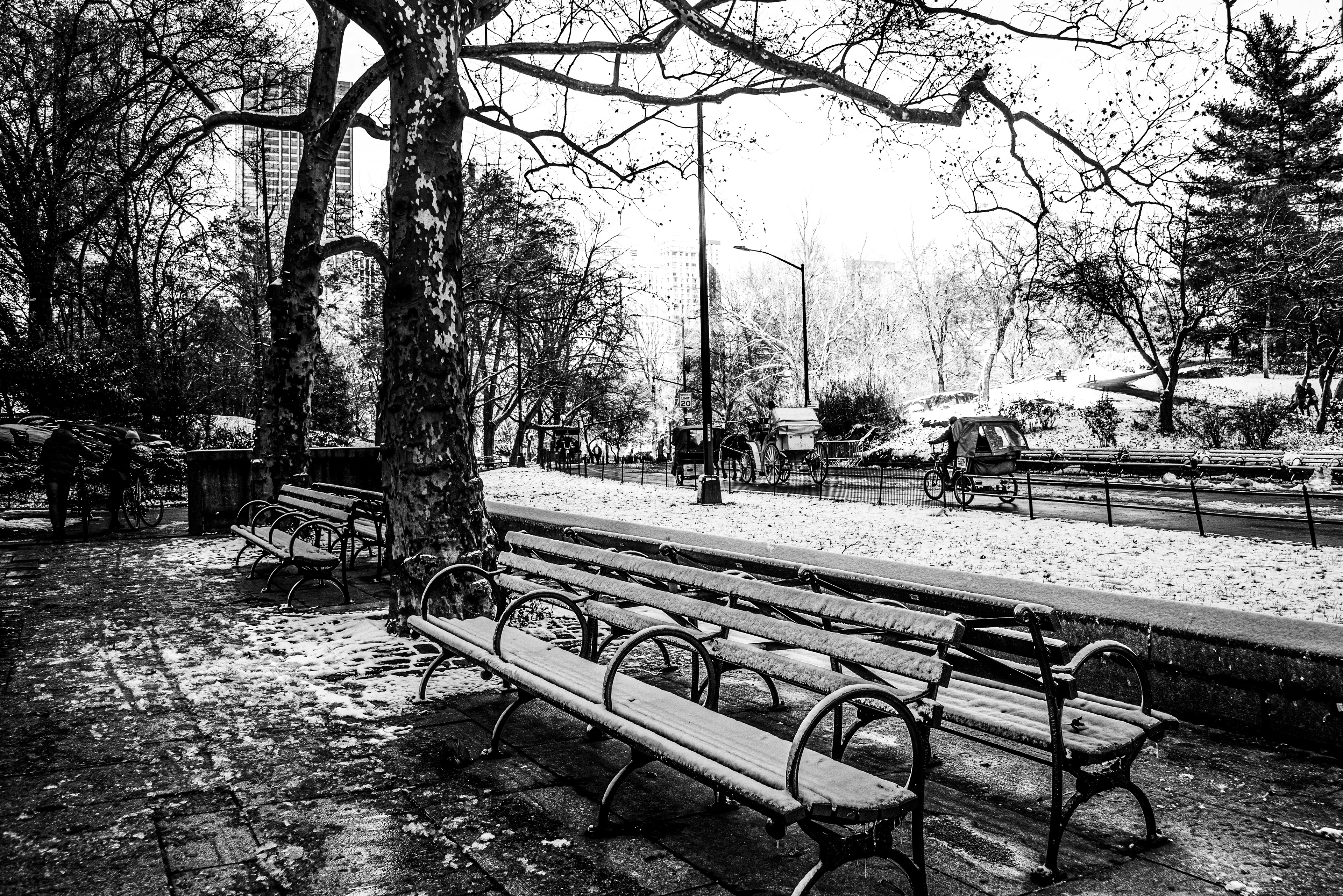 COLD BENCHES AND ROAD