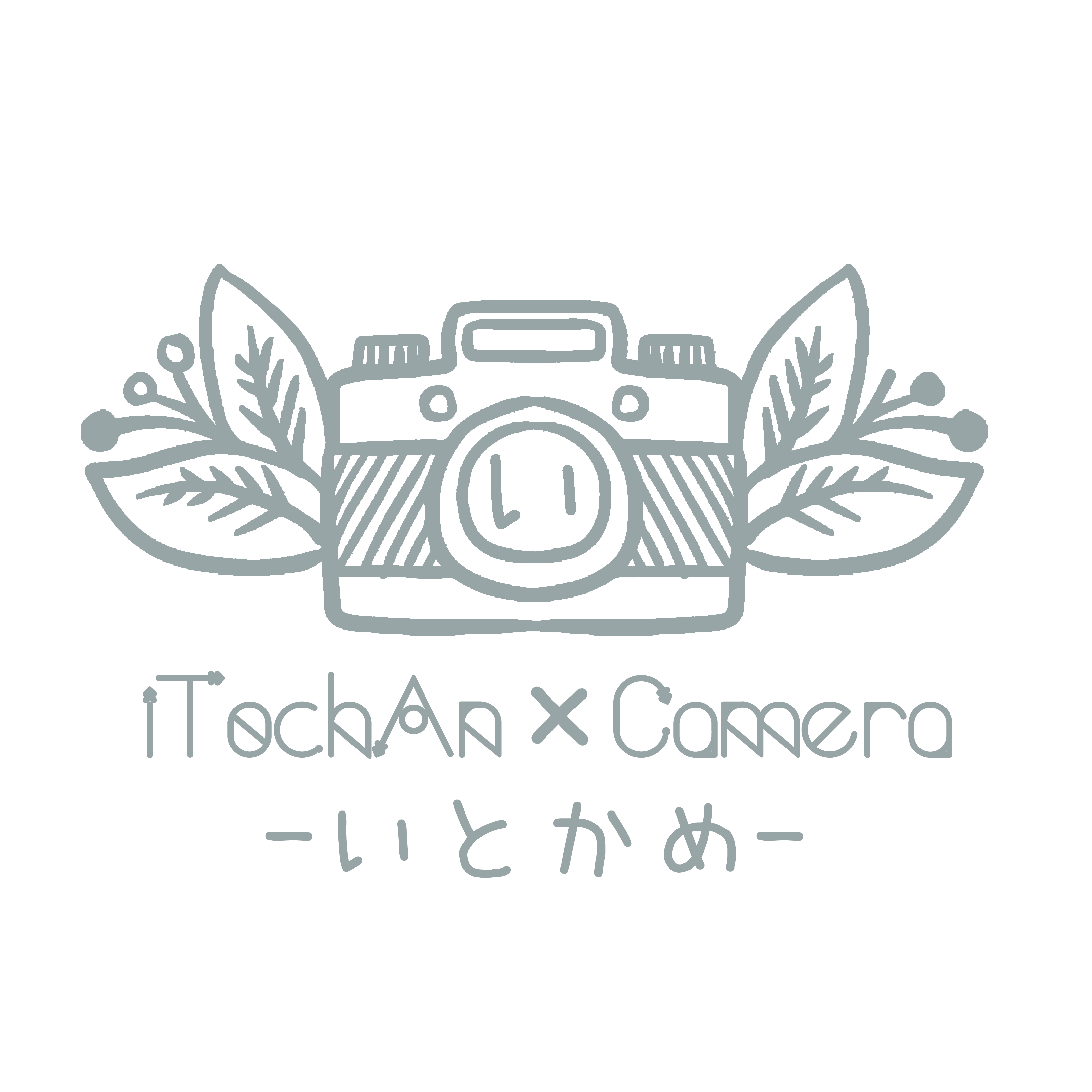 iTochAn Camera