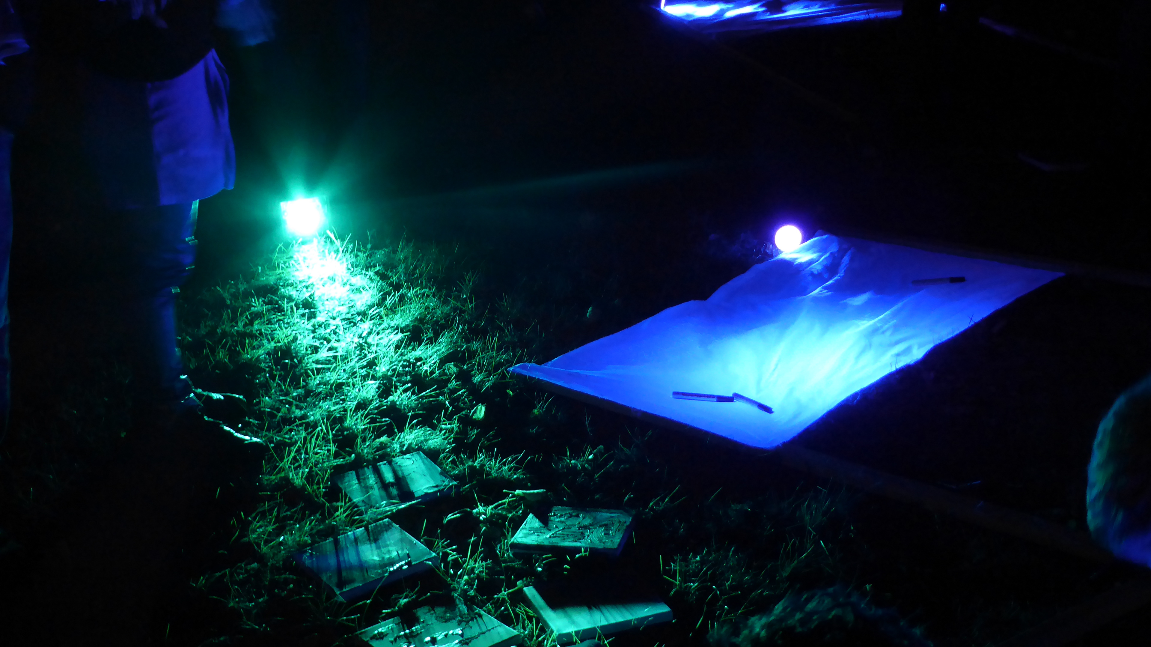 Photo: Jürgen Schöneich