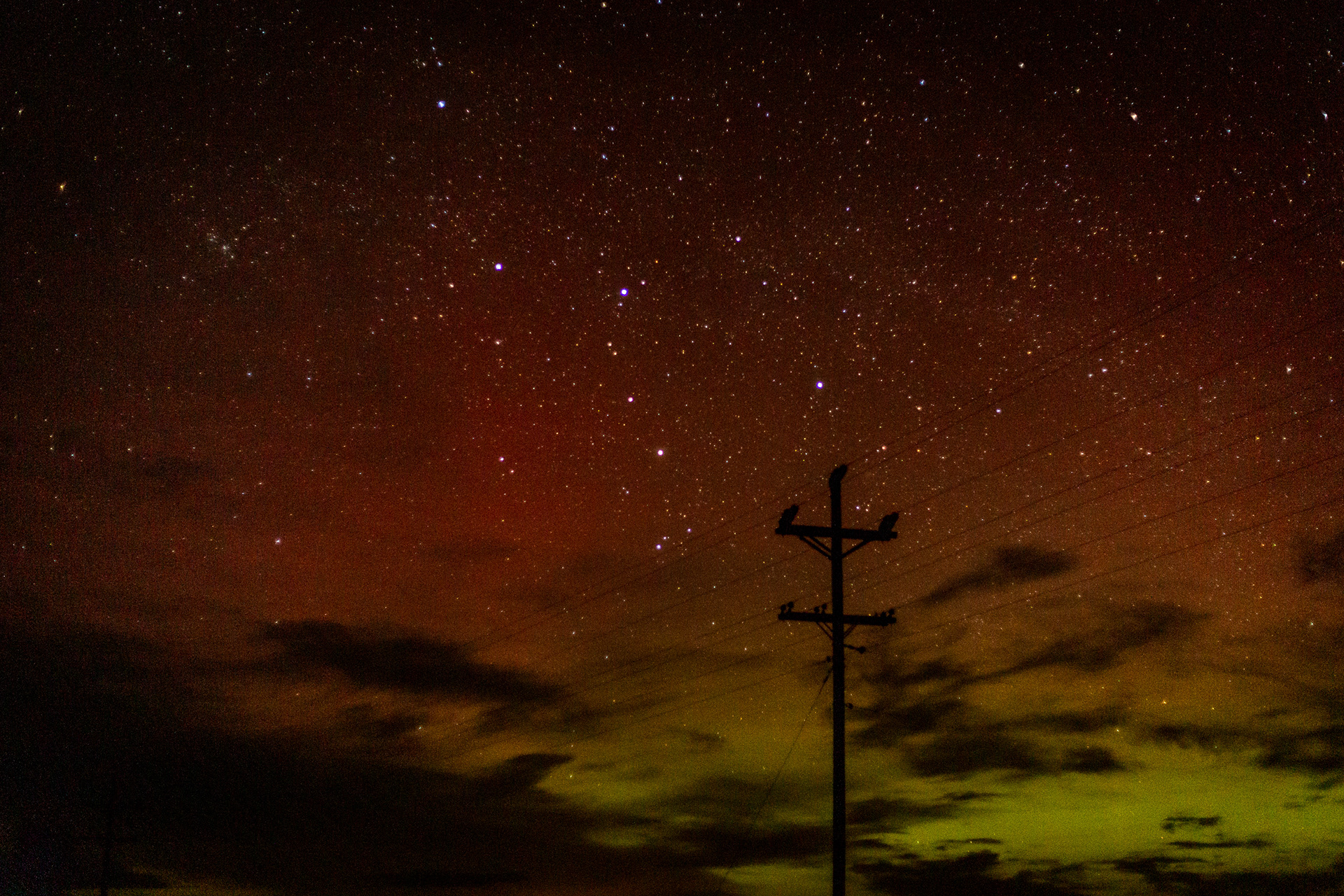 Bonus points if you can name the constellation in this photo