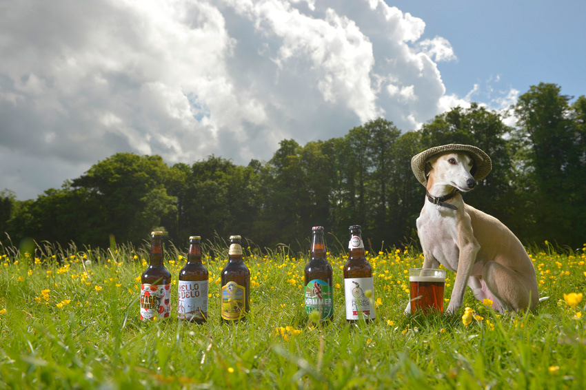 Art direction and whippet wrangling!