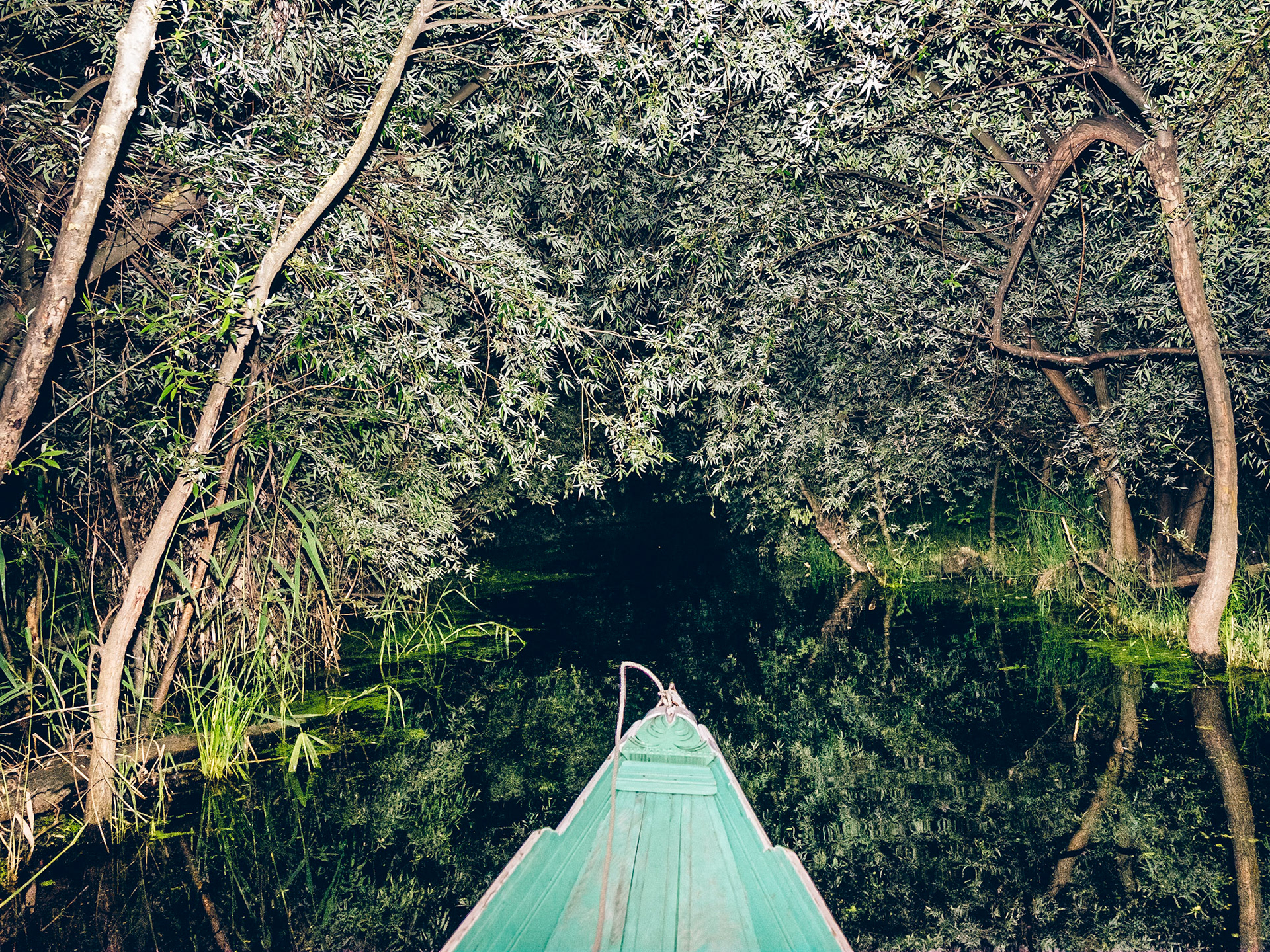 Canal connecting Dal Lake to the Jhelum river. Srinagar, Kashmir, 2019.