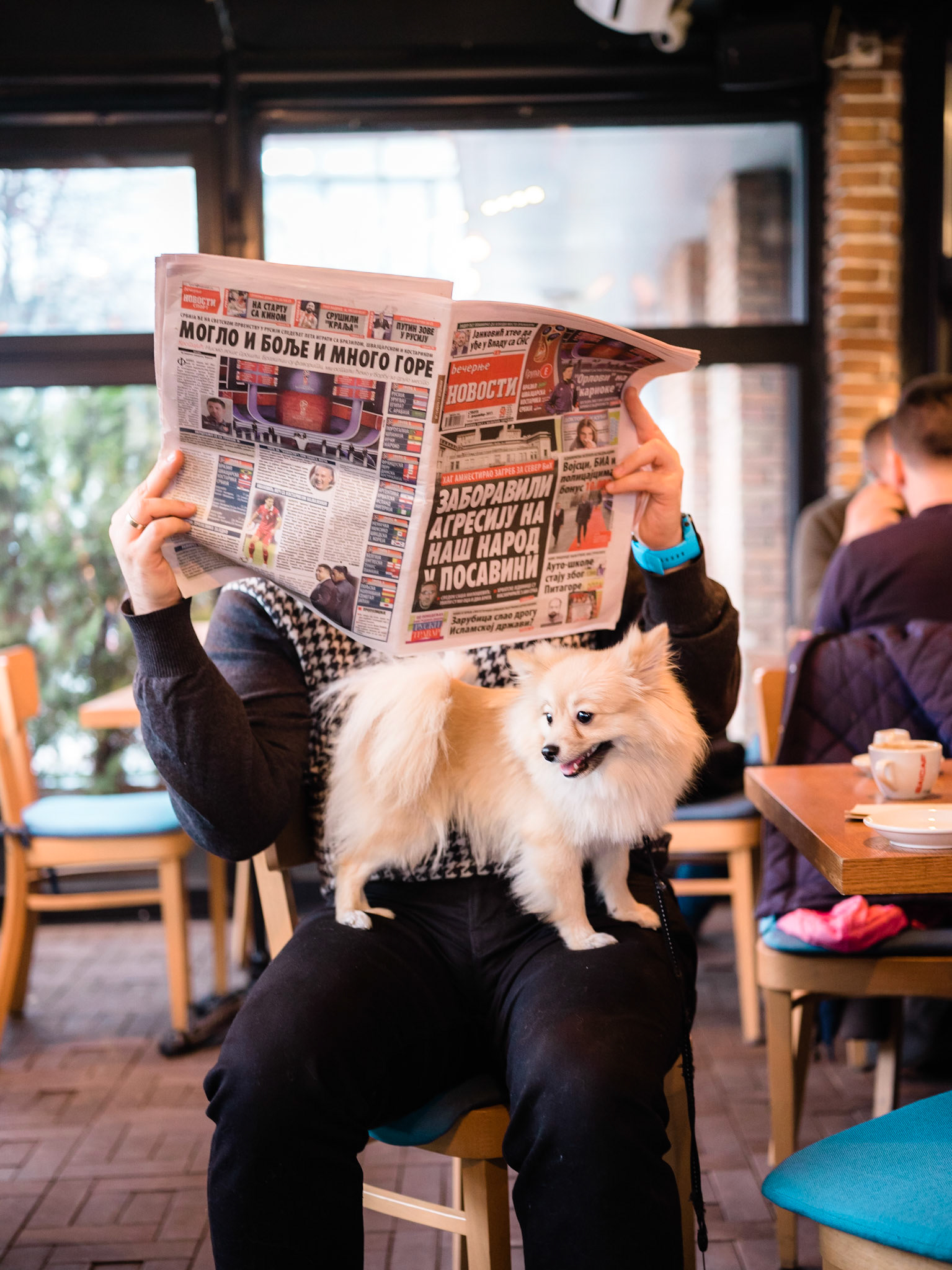 Coffee Cake Bakery, Bulevar kralja Aleksandra 304, Beograd 149802, Serbia