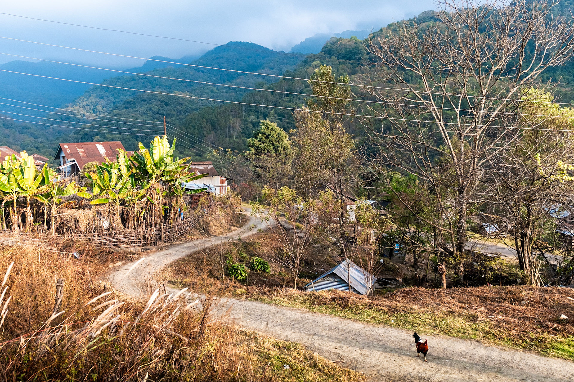 Dzuleke village. Nagaland, India, 2019.