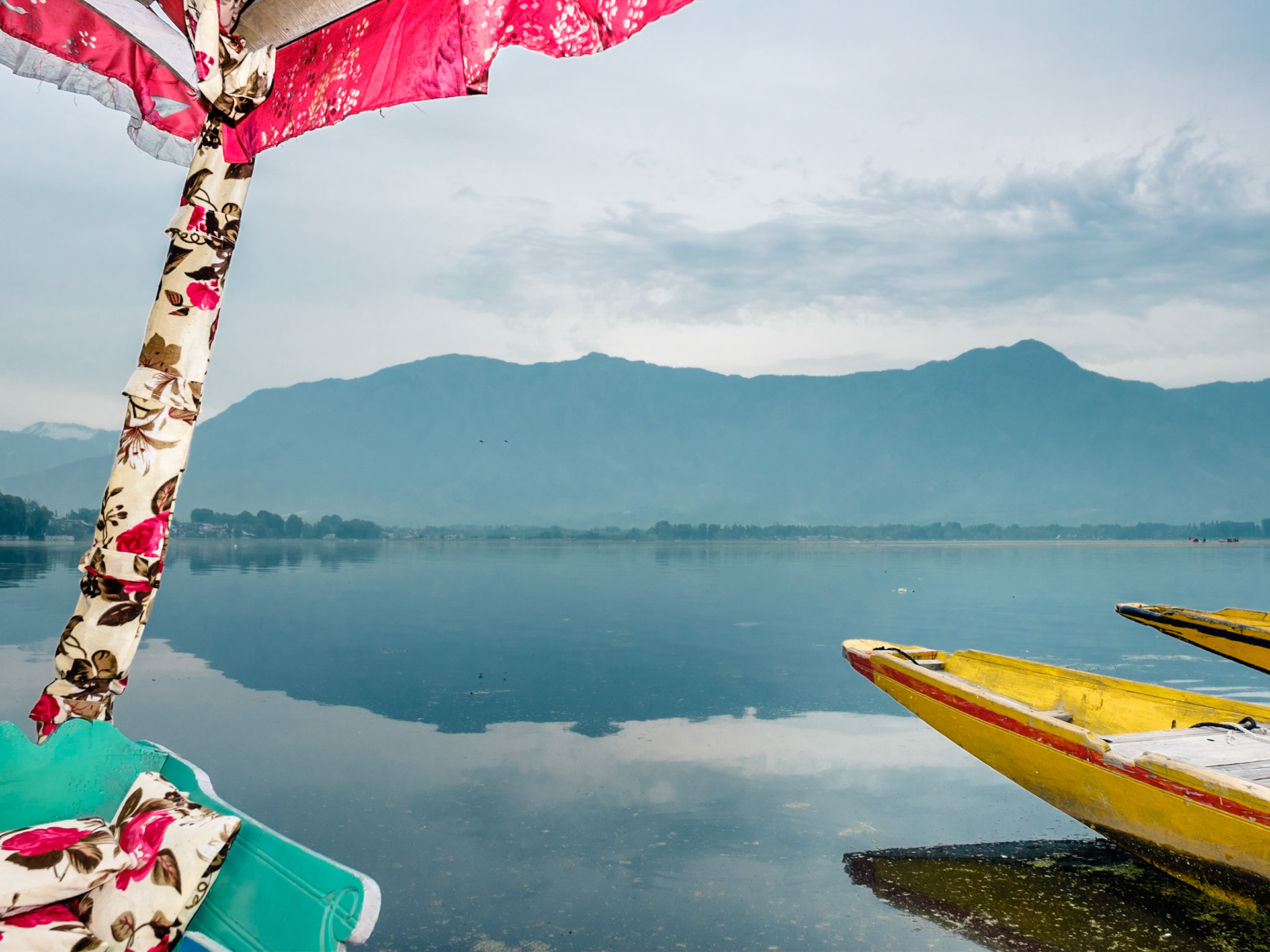 Shikaras on Dal Lake. Srinagar, Kashmir, 2019.