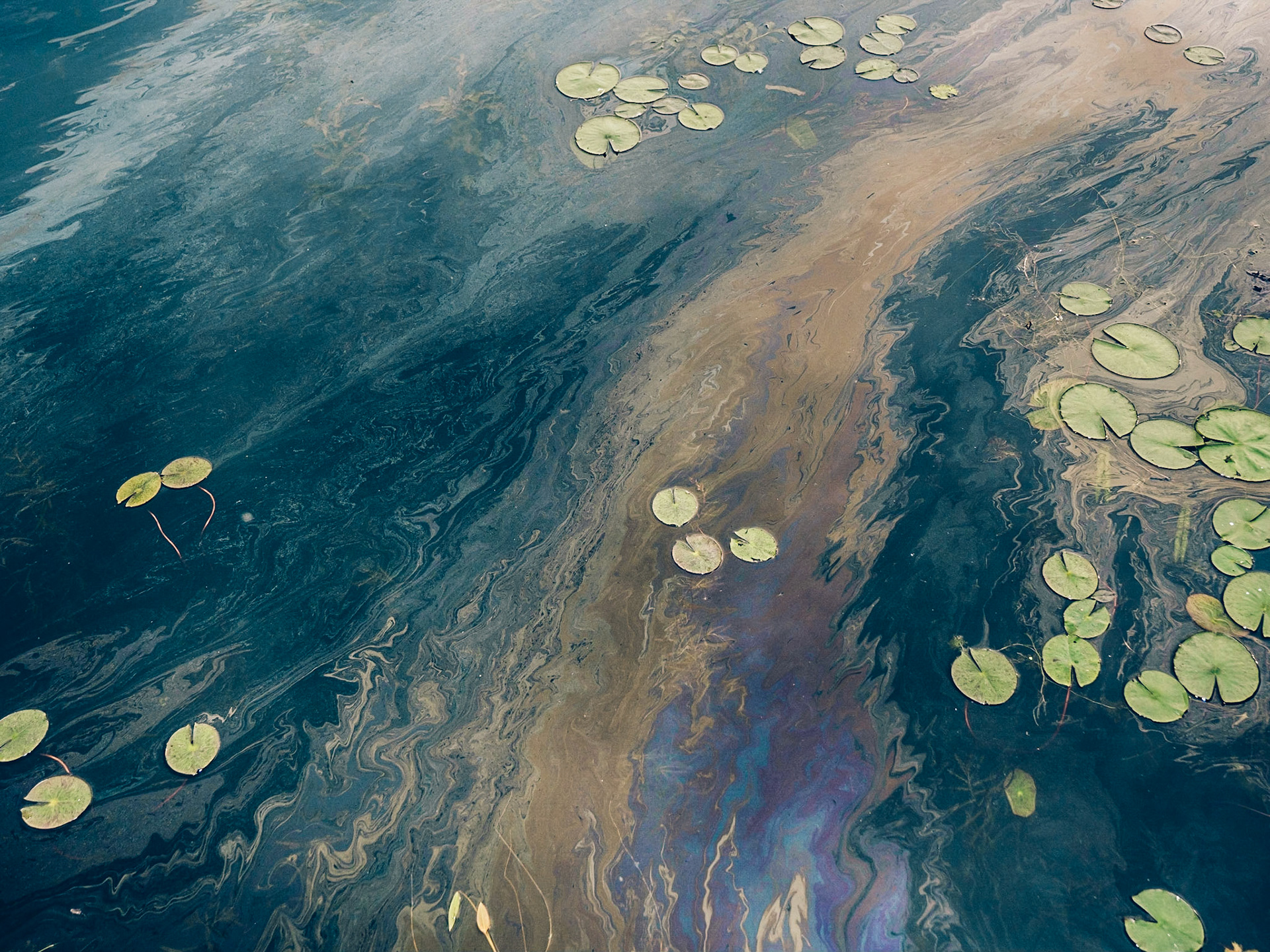 Oil on water. Srinagar, Kashmir, 2019.