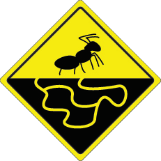 Ant Farm