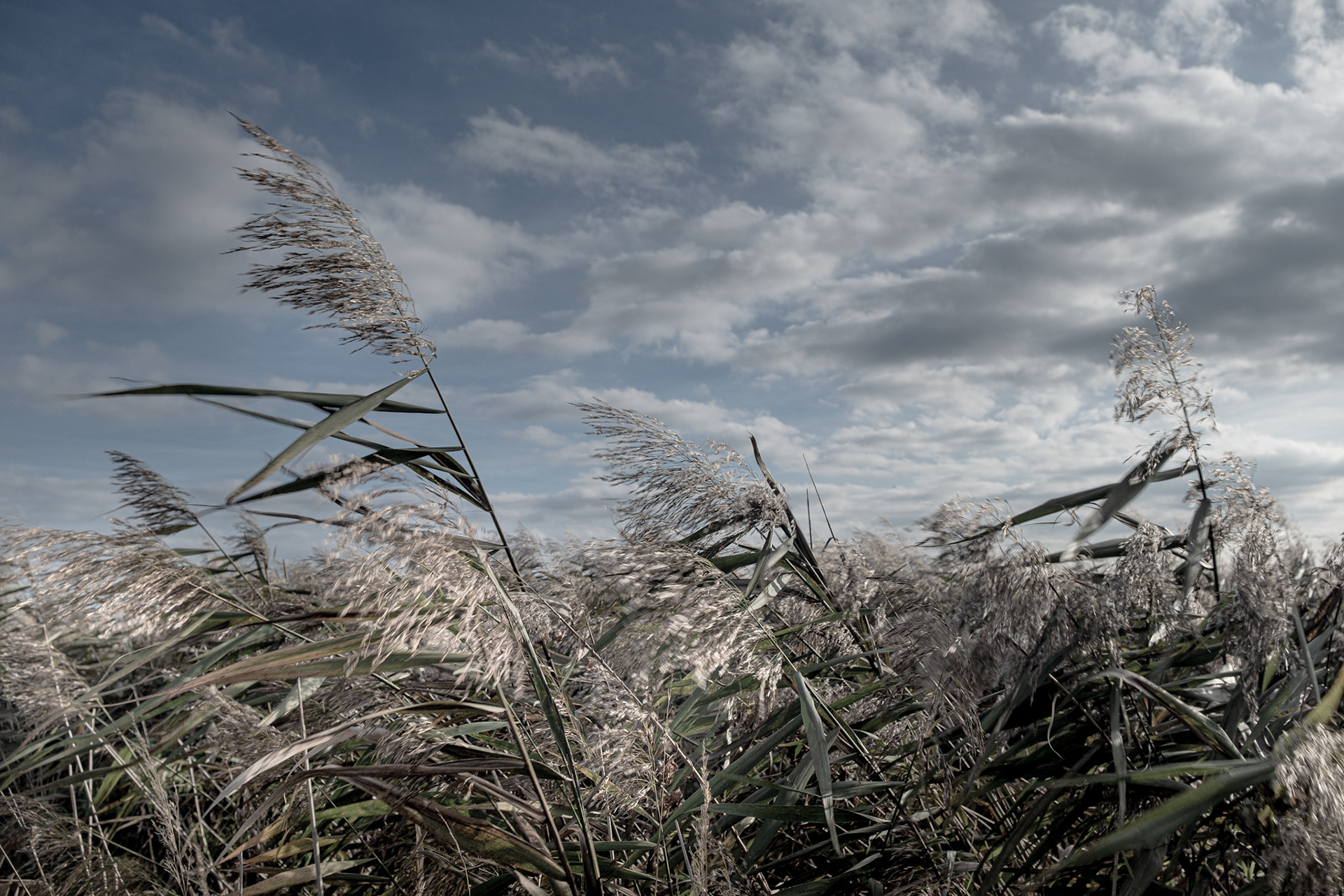 Landschaft bei Anklam