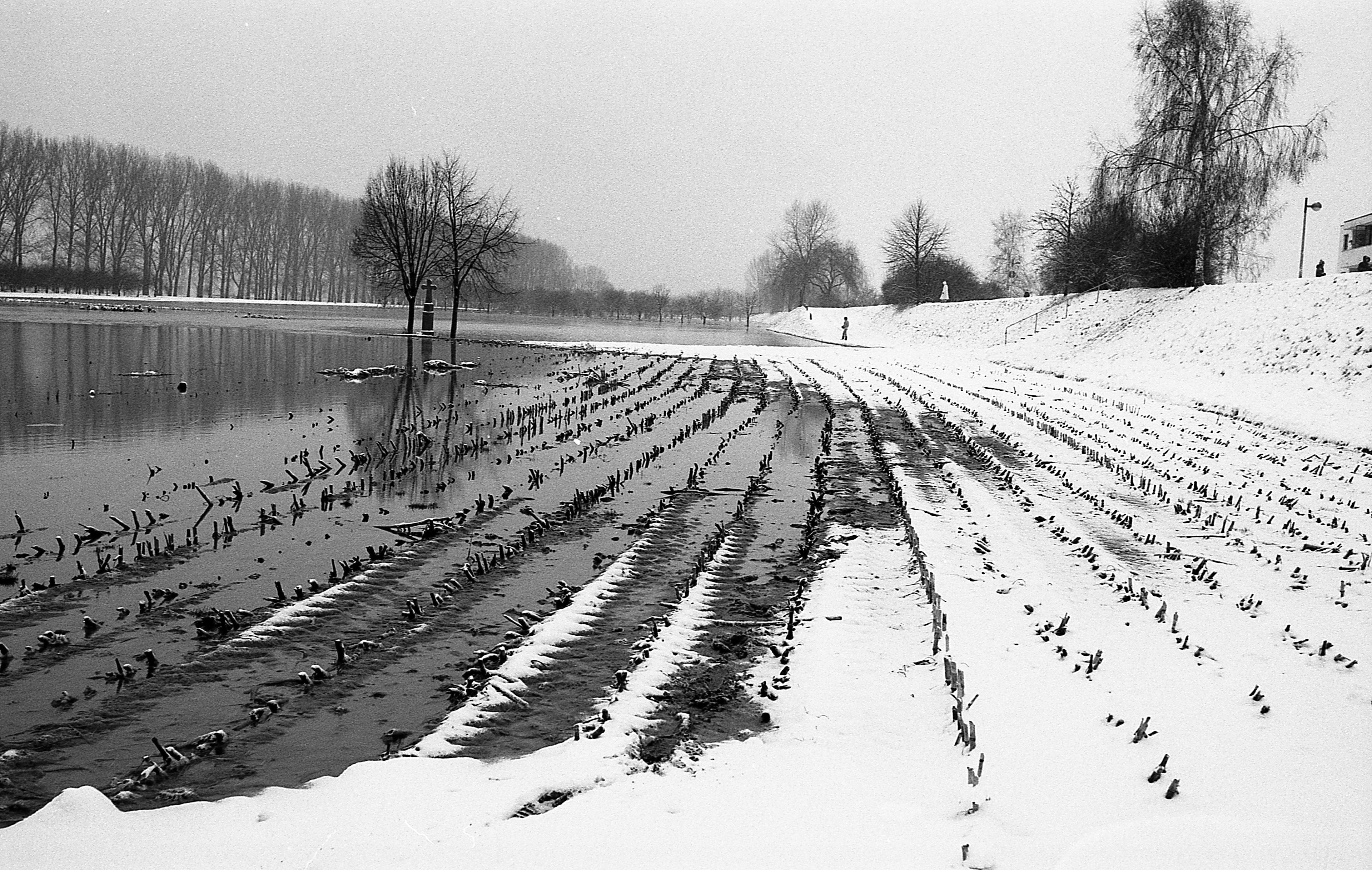 Rheinauen bei Schwarzrheindorf