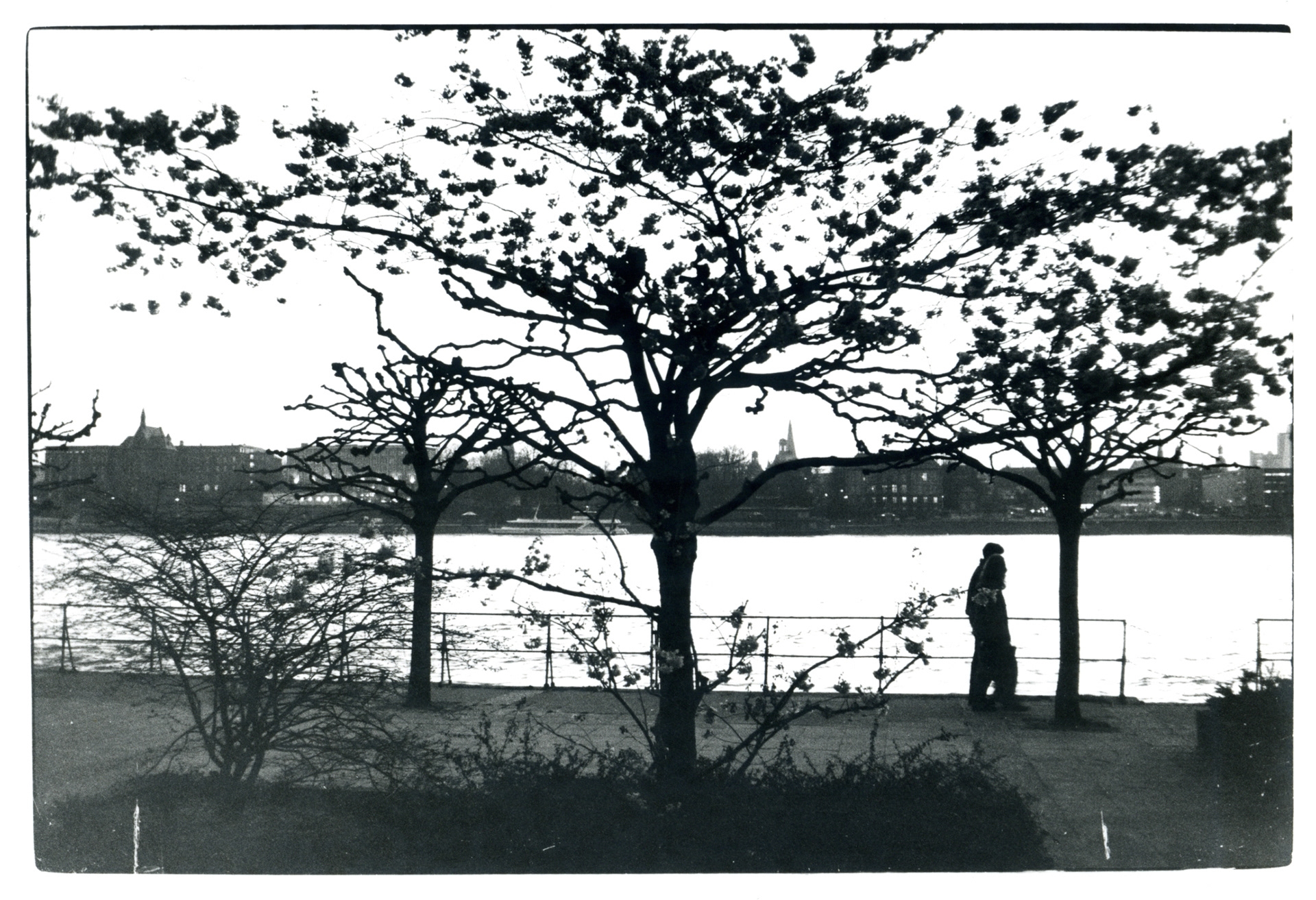 Beueler Rheinpromenade