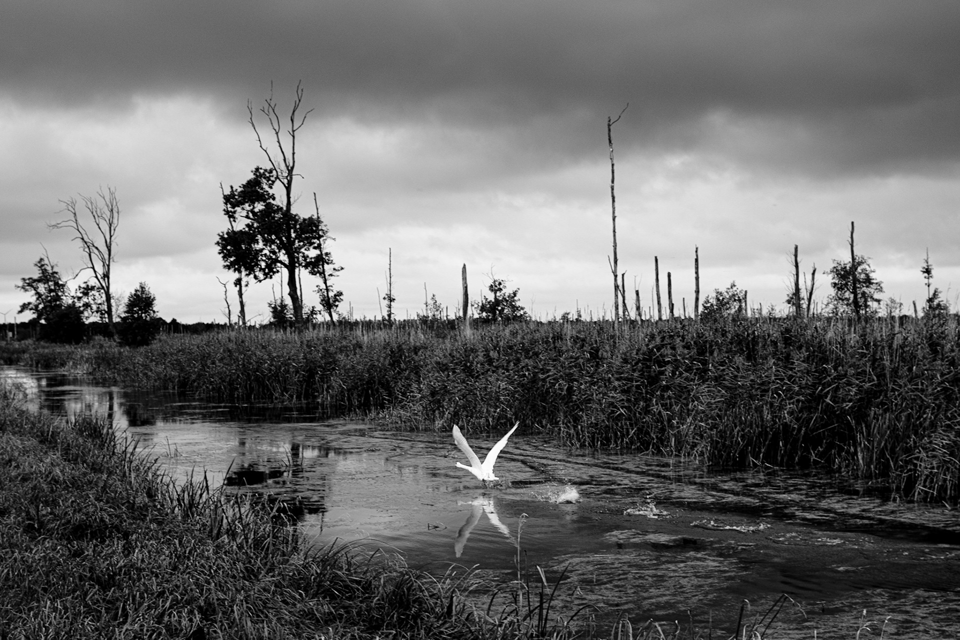 Landschaft bei Anklam
