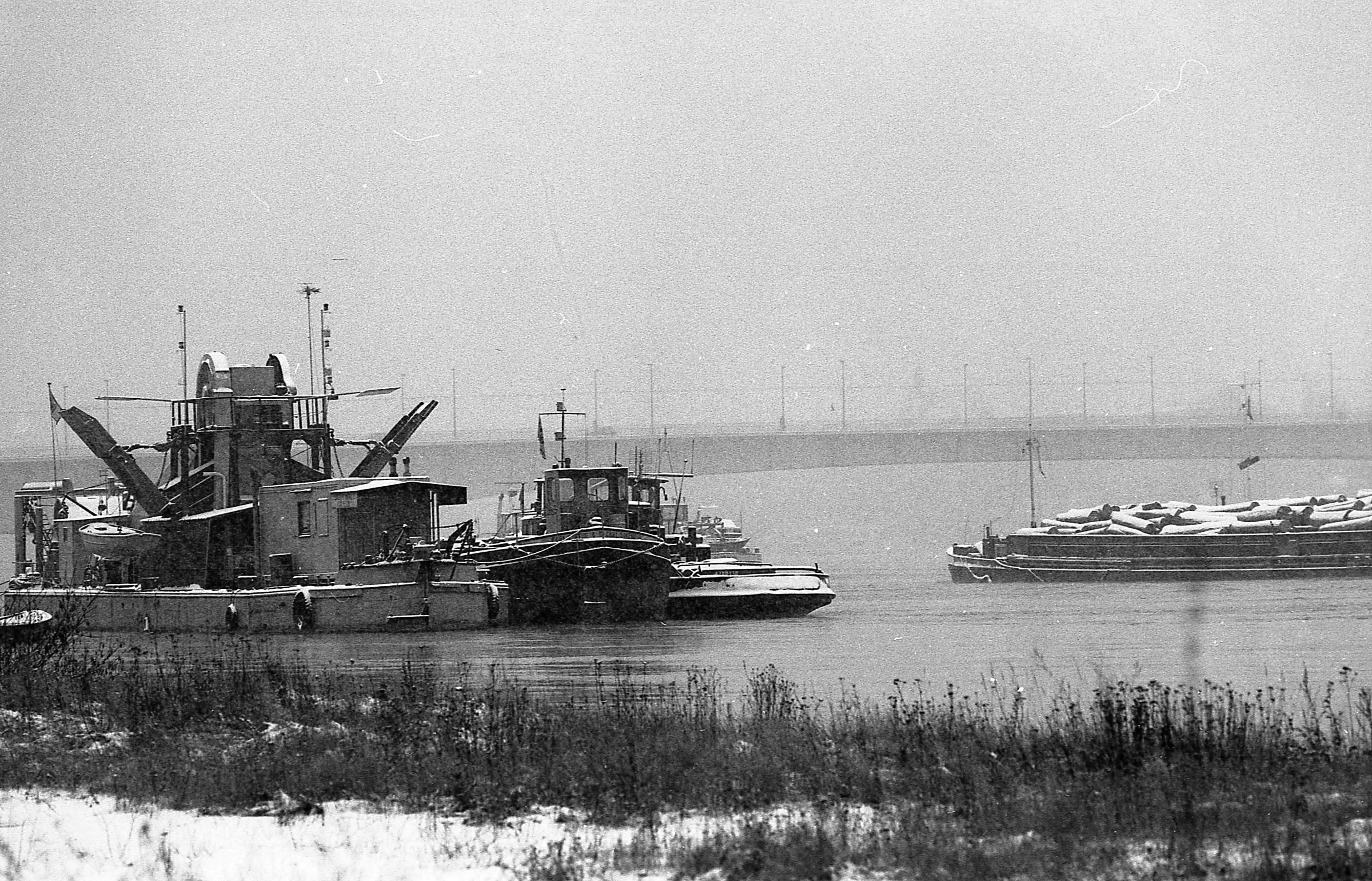 Rhein, Blick auf die Kennedy-Brücke von Beuel aus