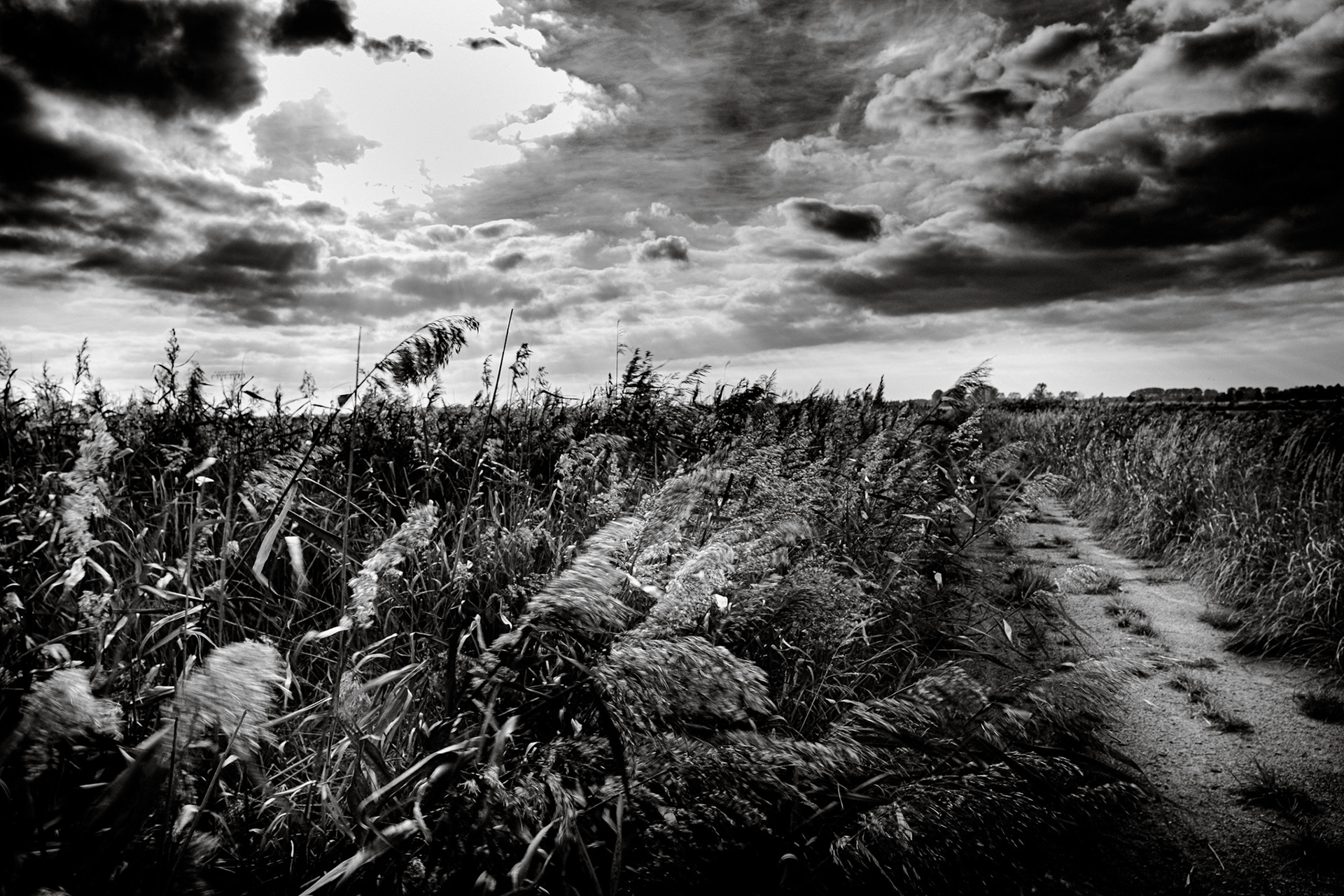 Landschaft bei Anklam