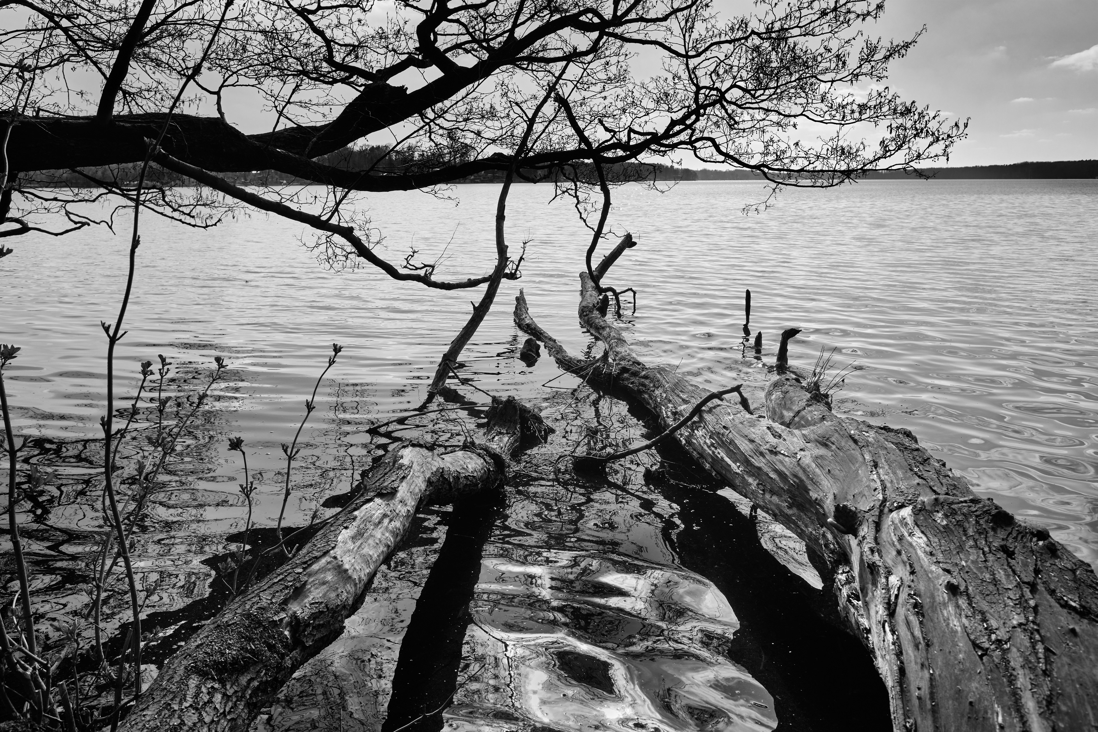 In Mecklenburg-Vorpommern