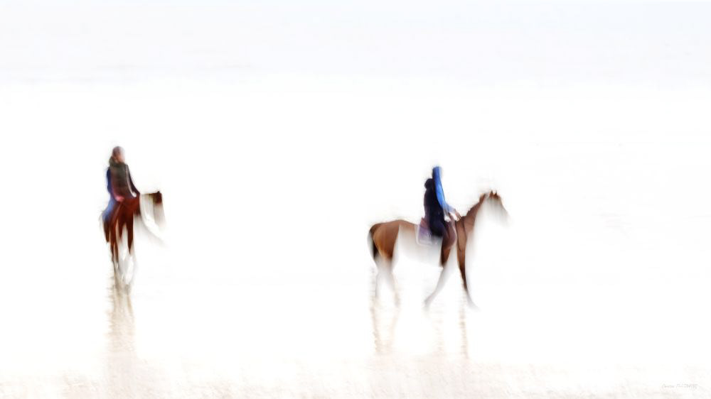 Balade sur la plage (1)