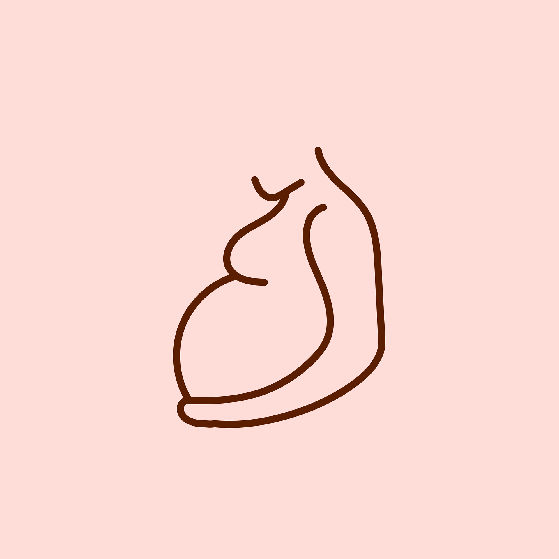 Pregnancy