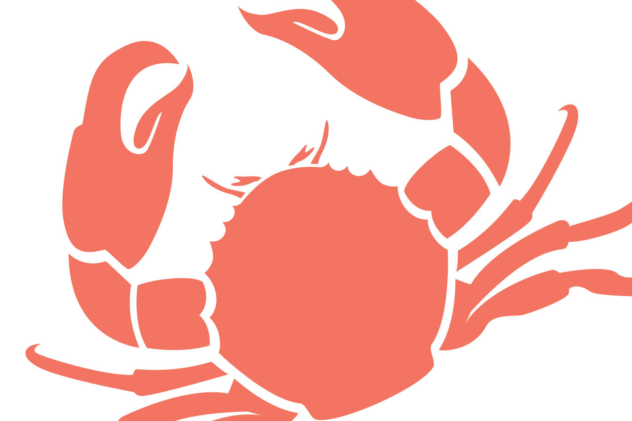 Spider Crab