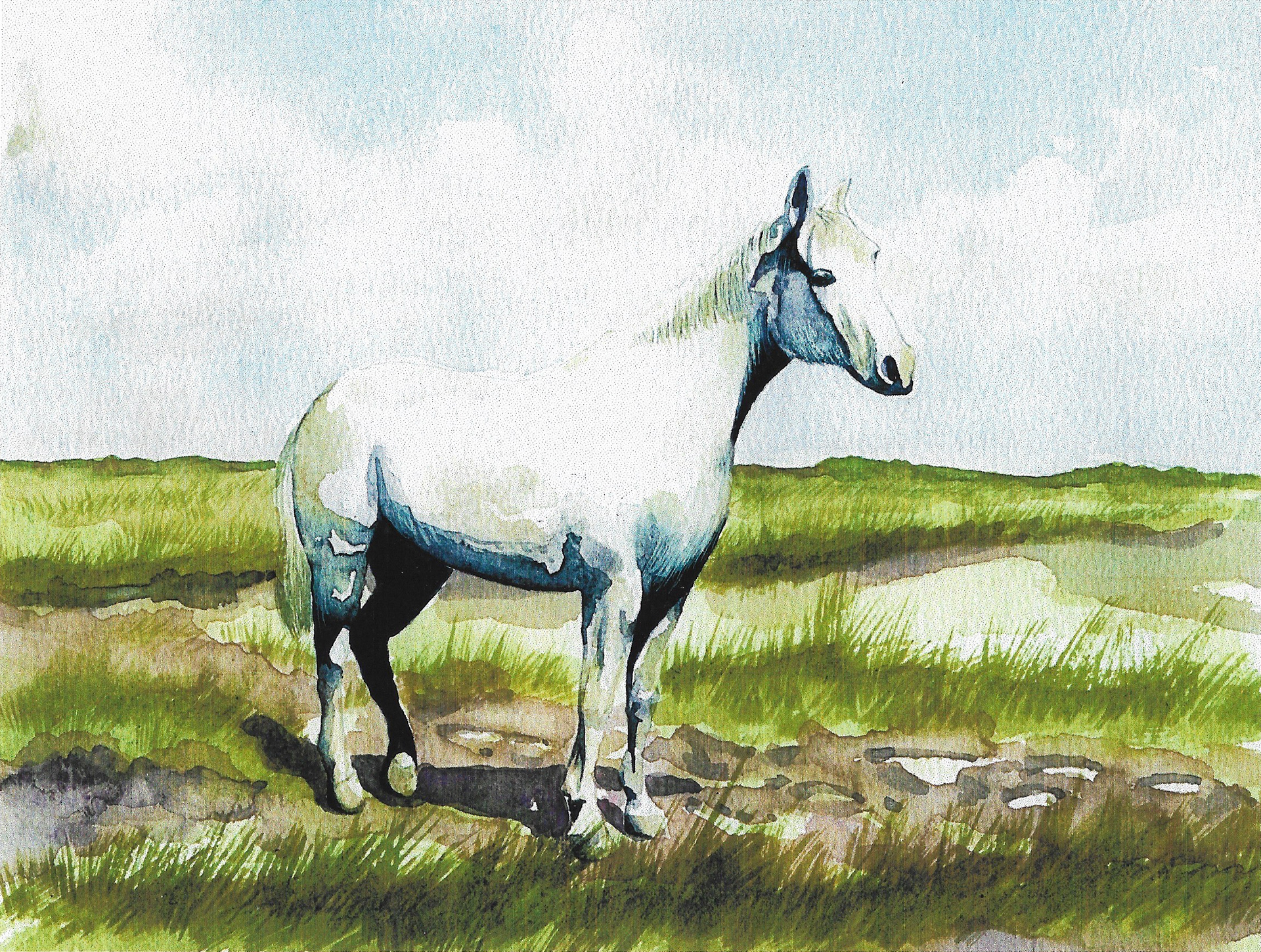 Pony on Bodmin Moor - Watercolour