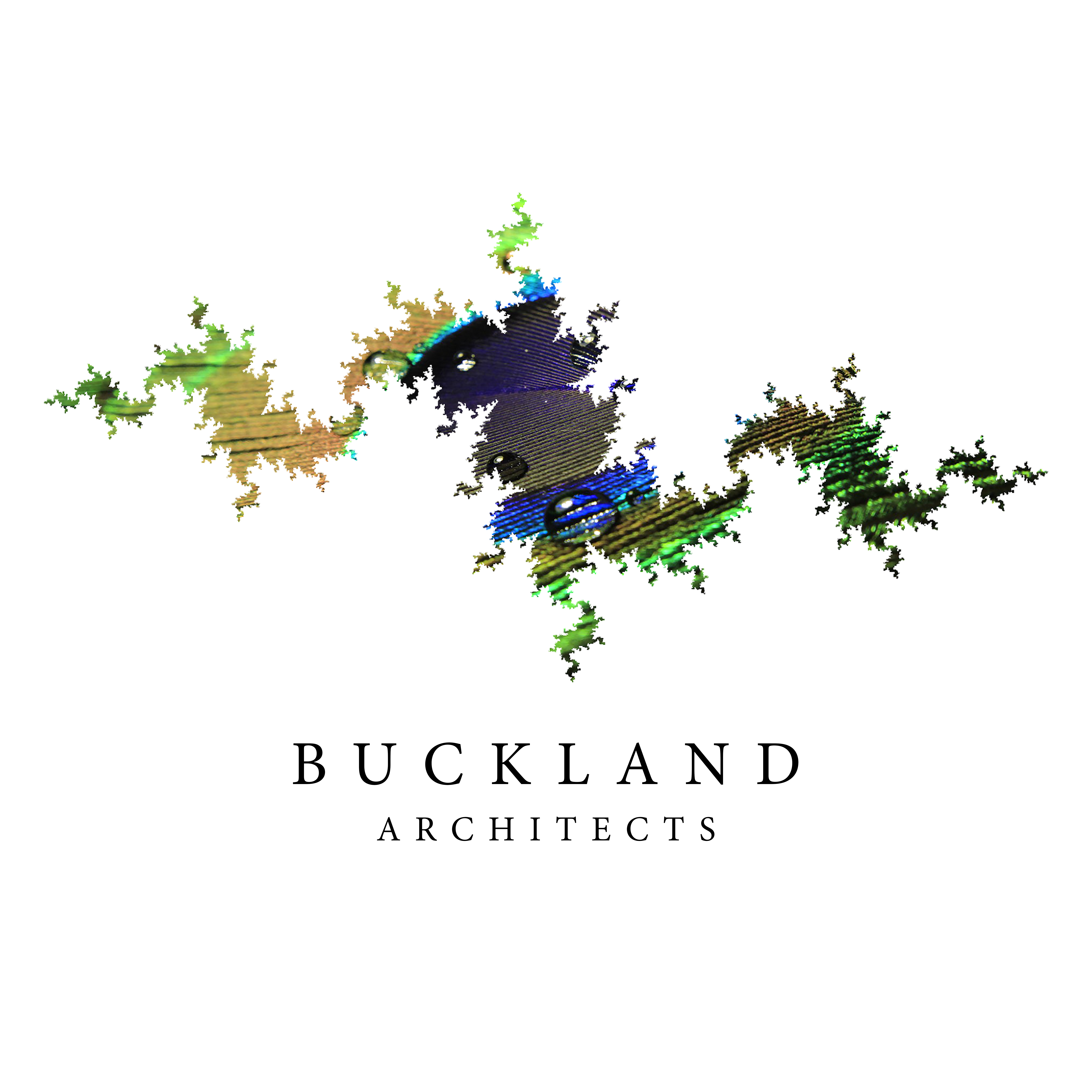 BUCKLAND ARCHITECTS LTD. logo