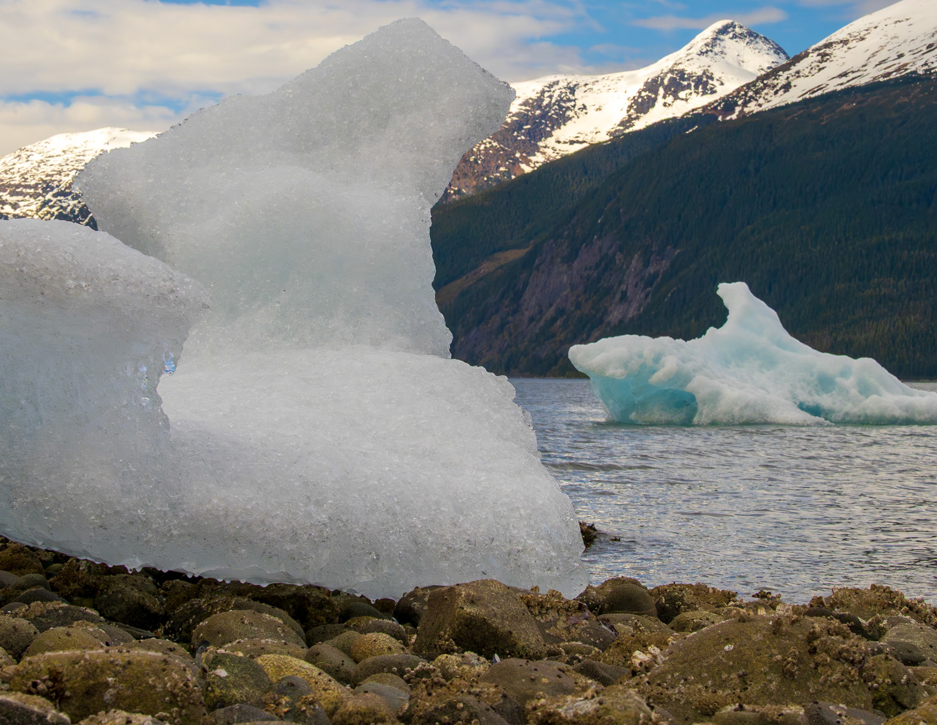 Icebergs near Tracy Arm, AK