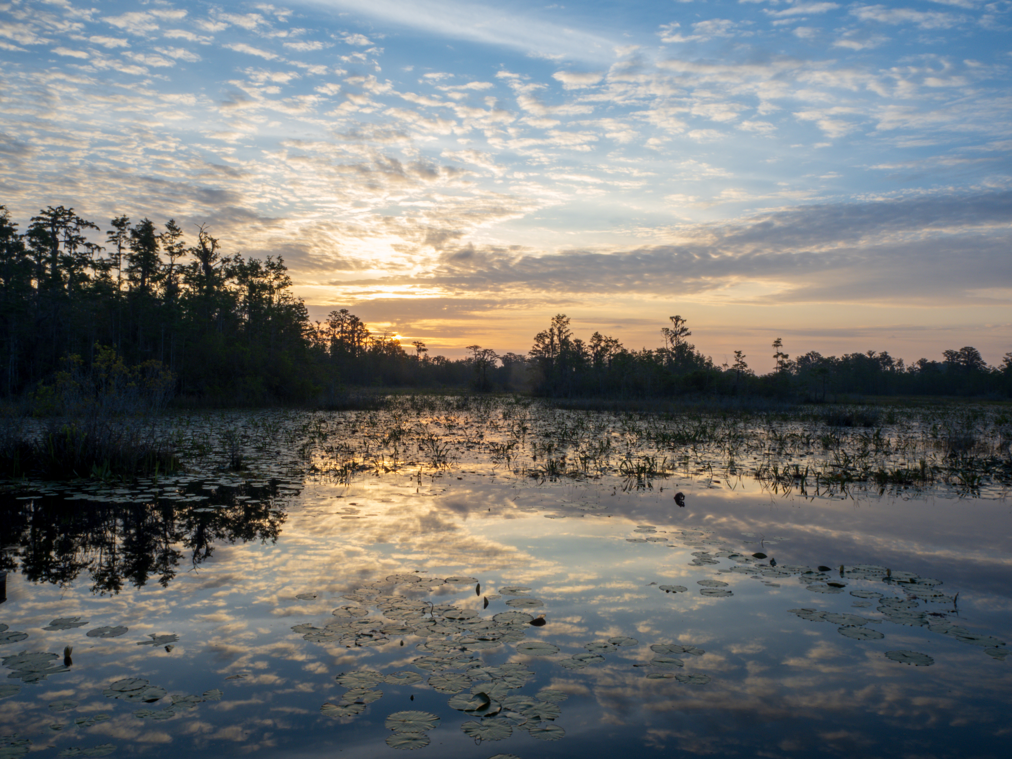 Sunset in the 'prairie'