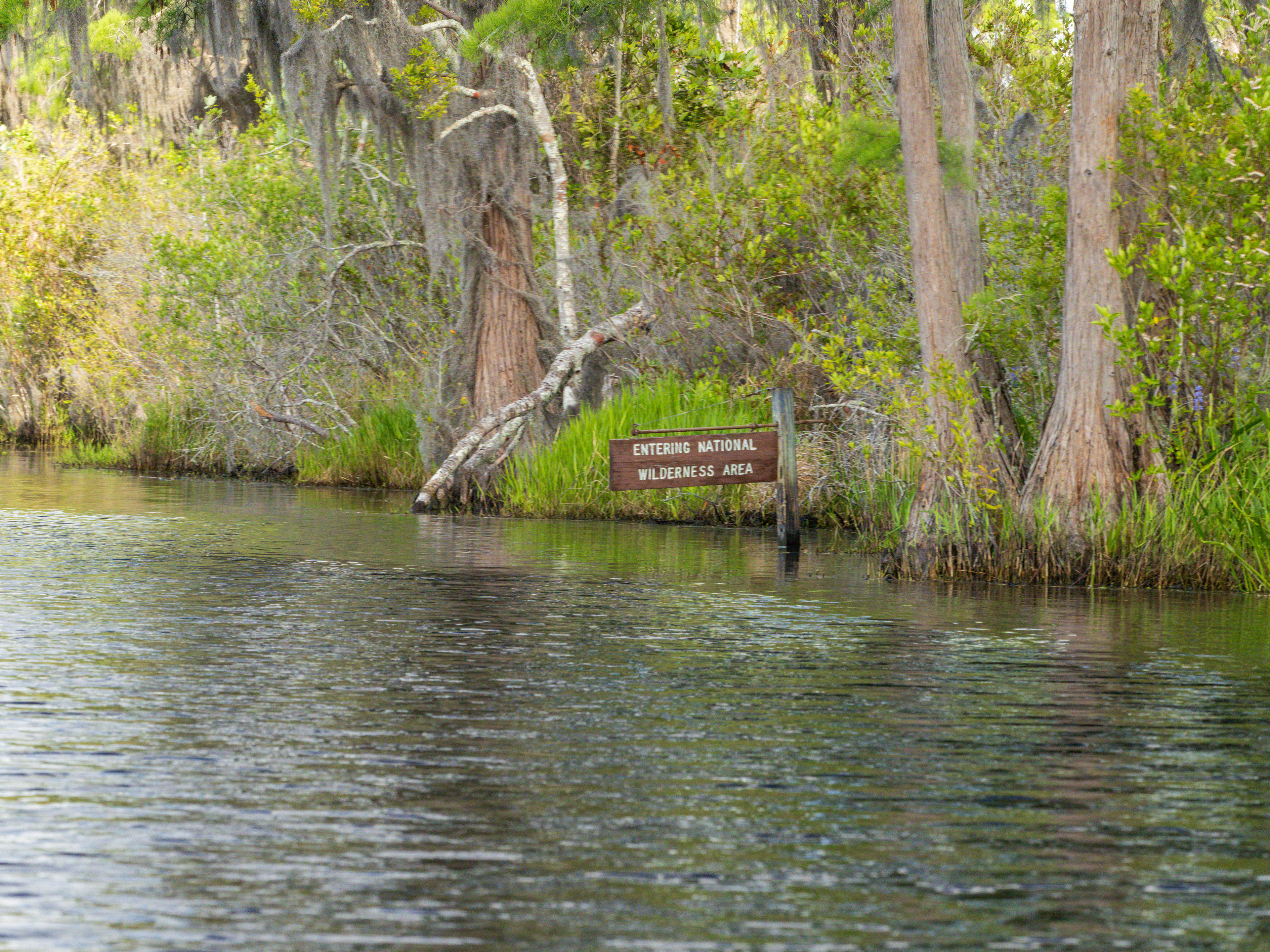 Wilderness Area