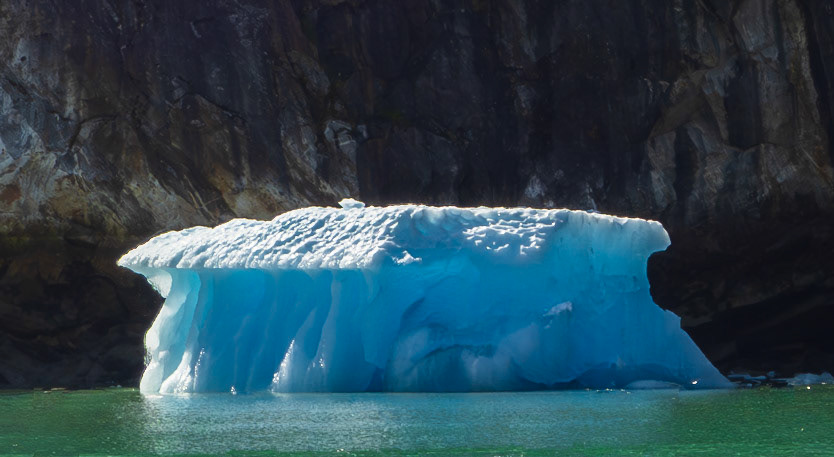 Iceberg, Endicott Arm, AK