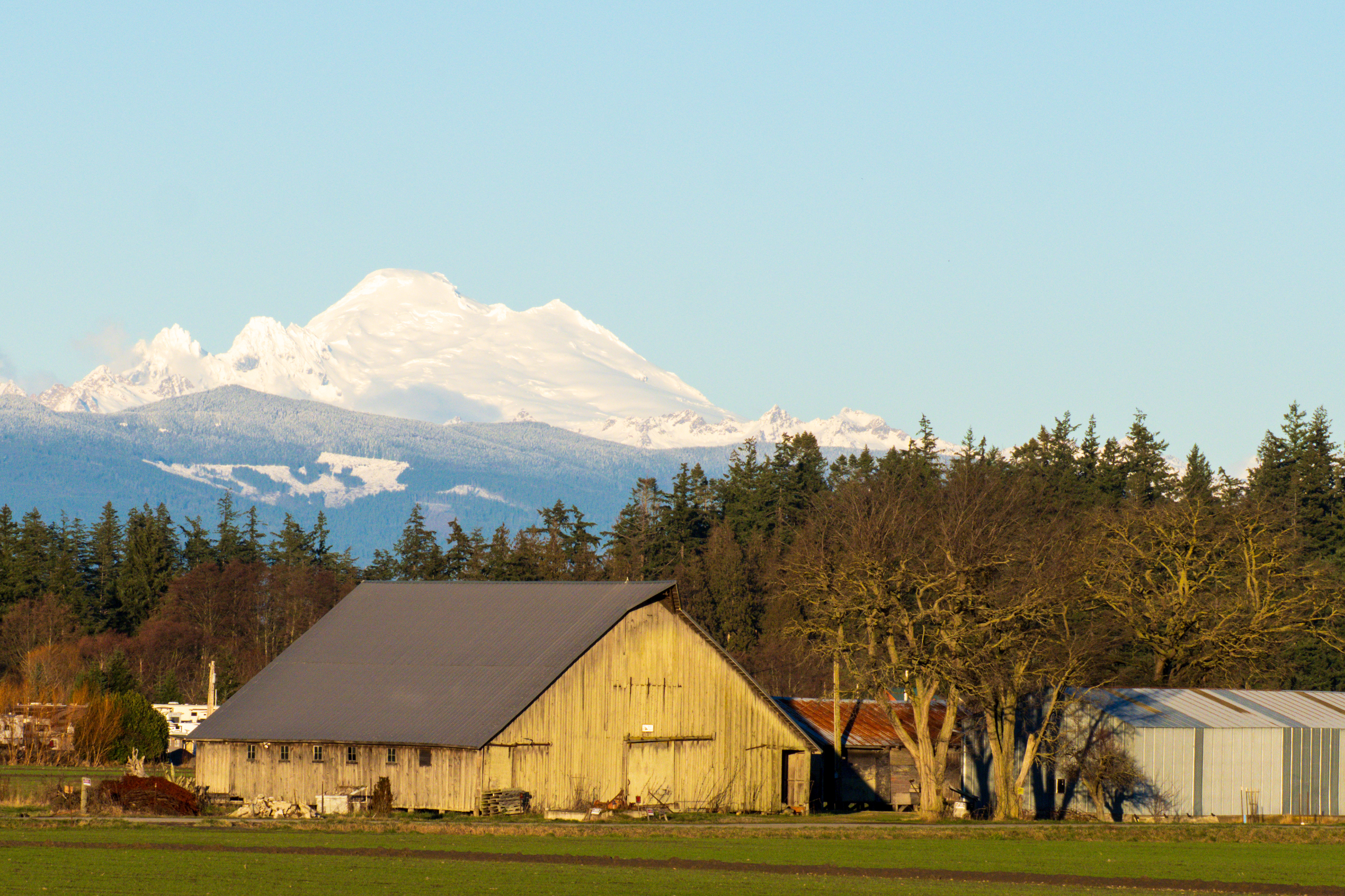 Mt Baker