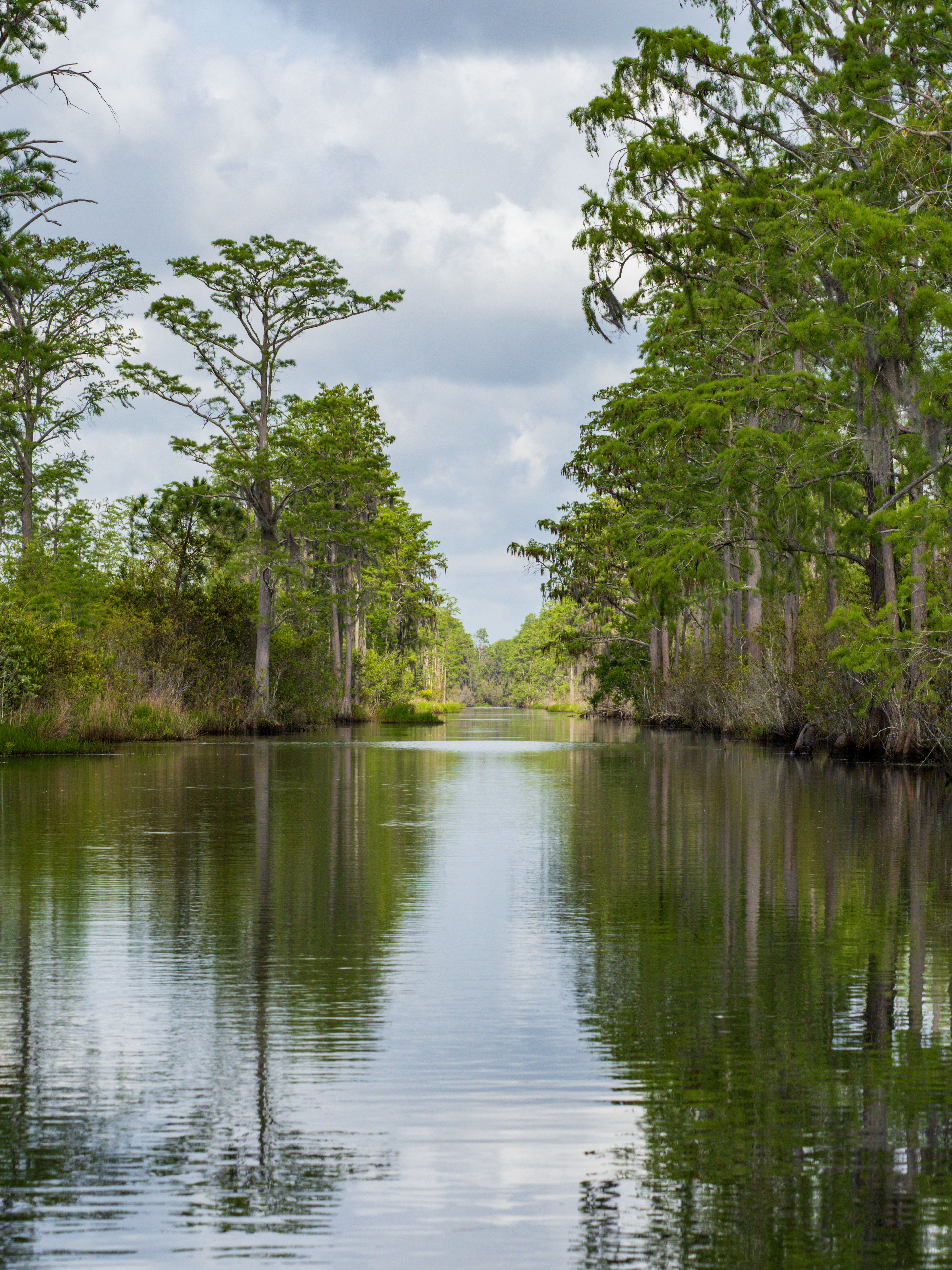 Canals in the Okefenofee 