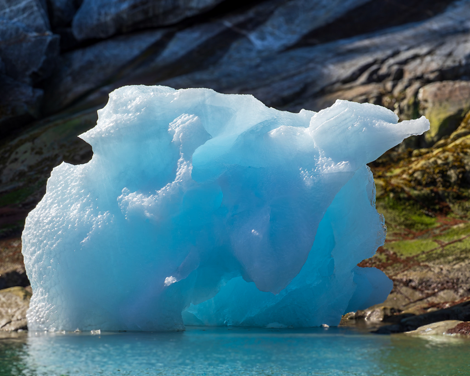Iceberg, Endicott Arm, AK