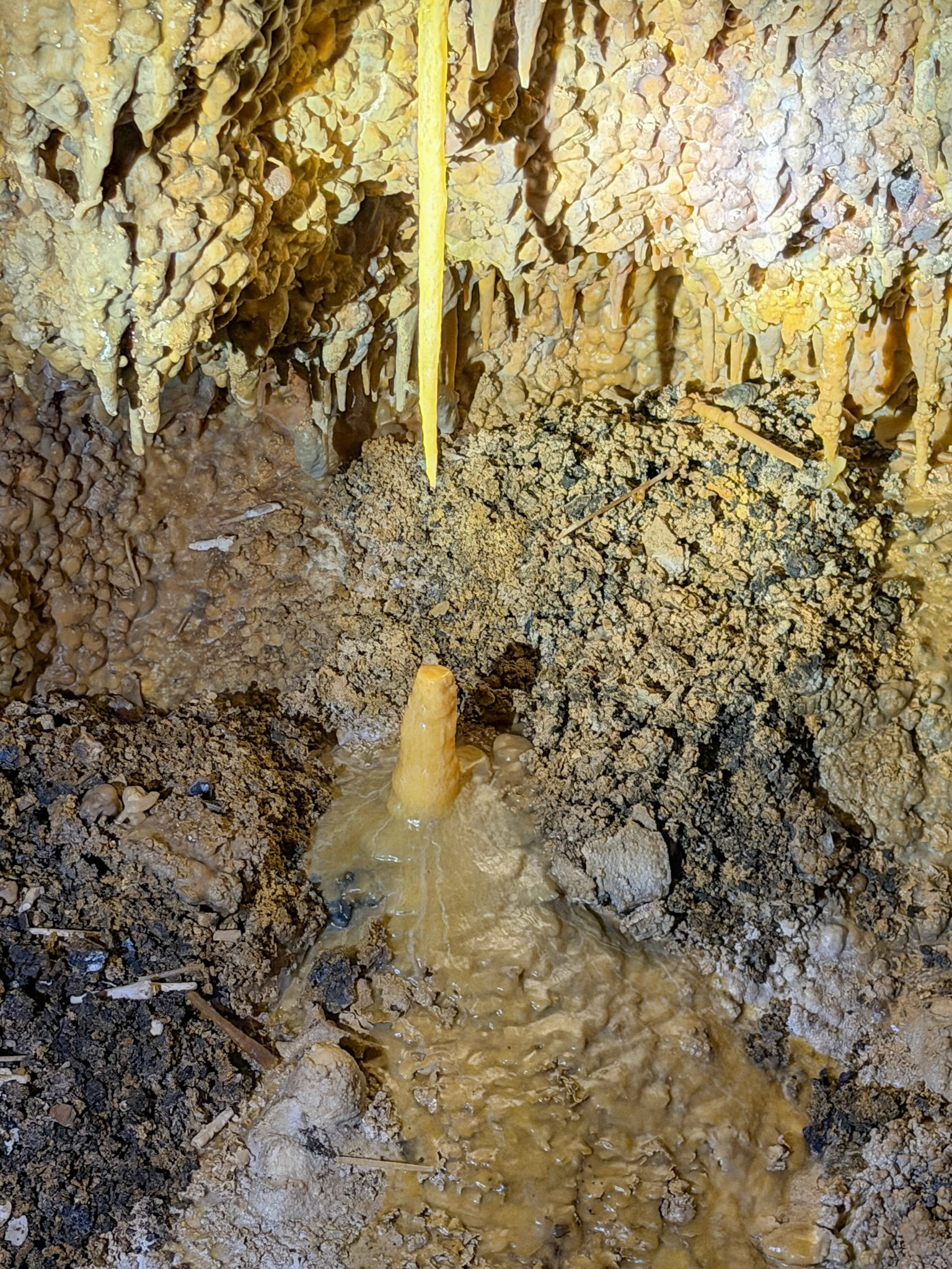 Stalactites (hanging) Stelagmite (growing up), Jewel Cave National Monument, SD