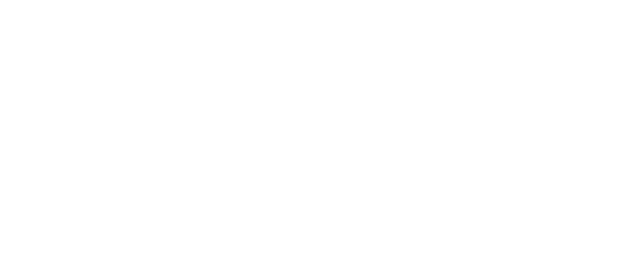 Nicholas Flandro