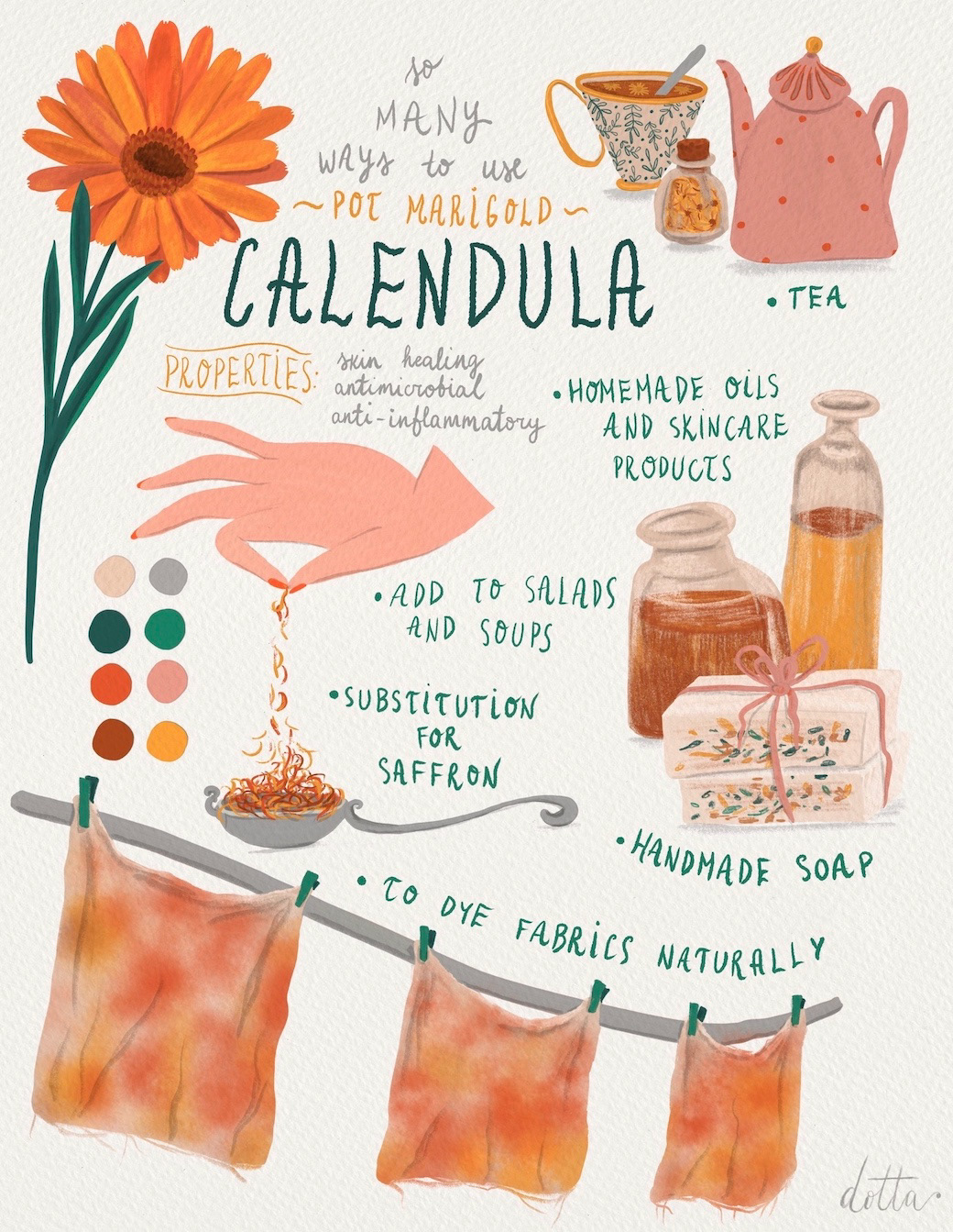 Ilustrācija par kliņģerīti, MATS Bootcamp ietvaros, 2022