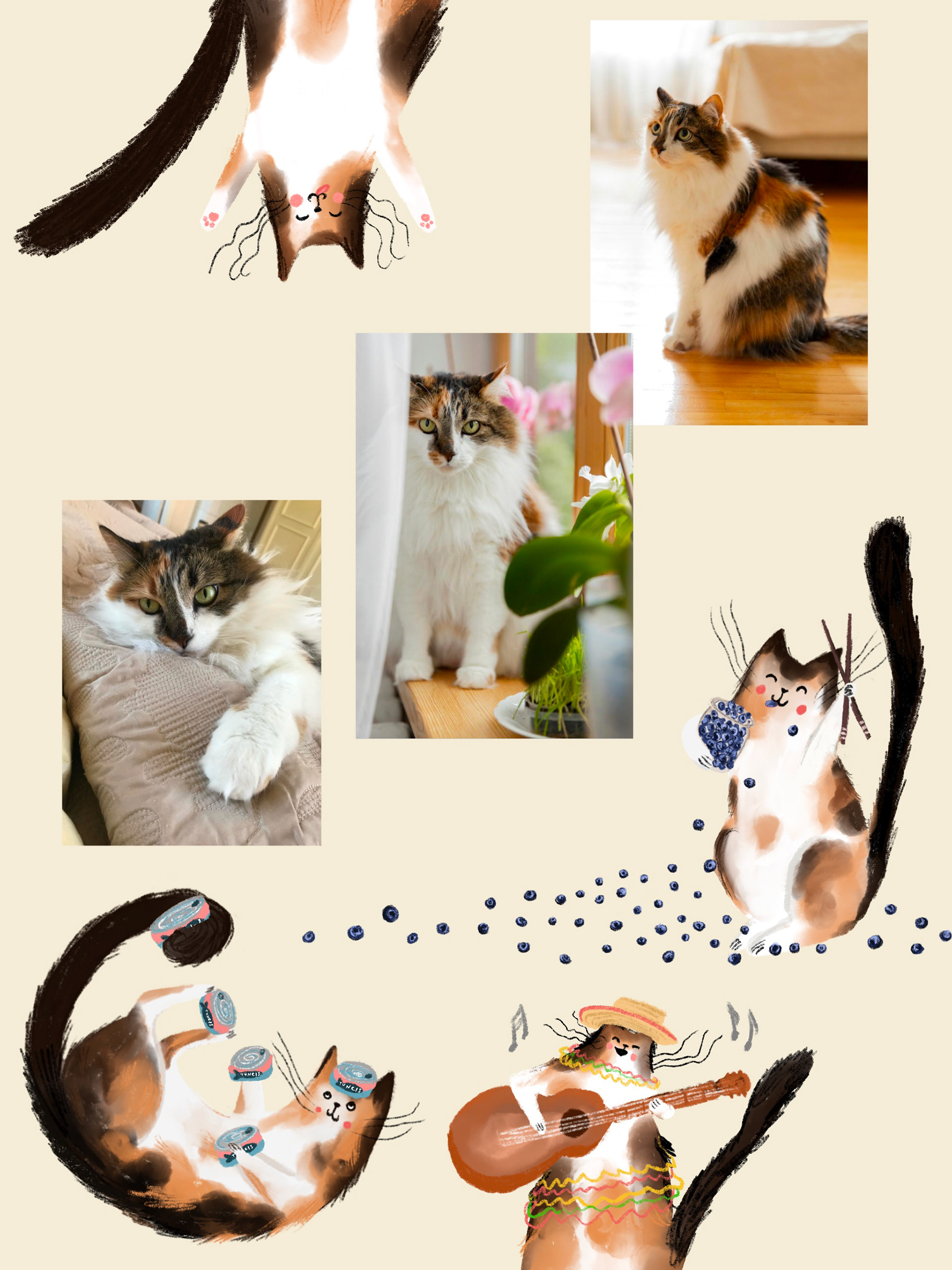 Kaķenīte Koko grāmatai Garšīgie stāstiņi