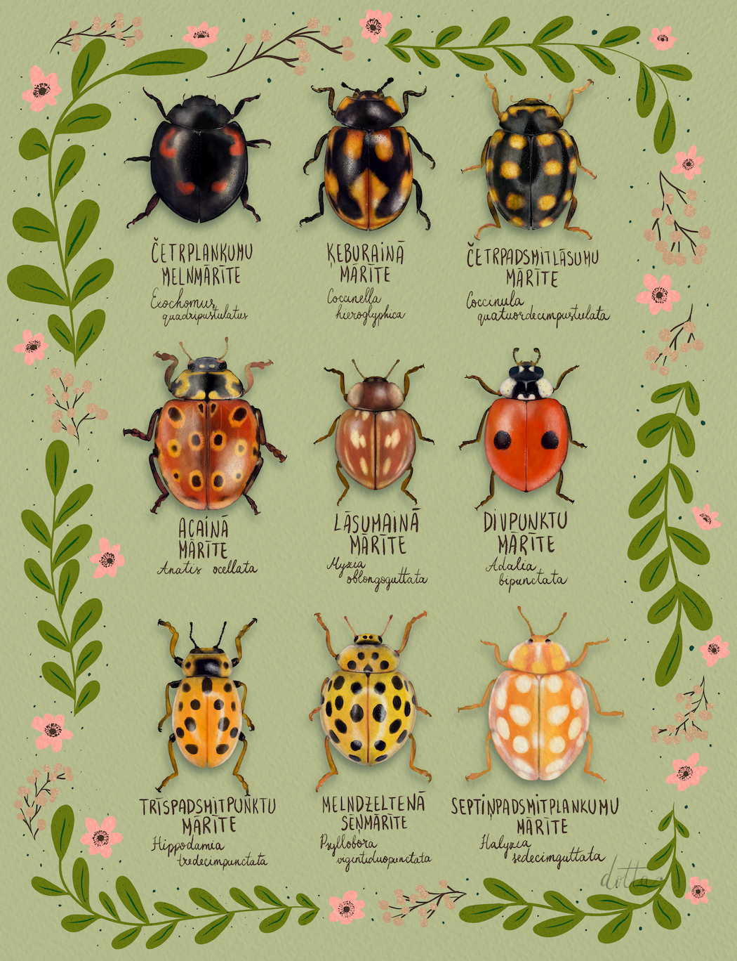 Ilustrācija "Mārītes", radīta ar mērķi parādīt mārīšu sugu daudzveidību Latvijā, 2021