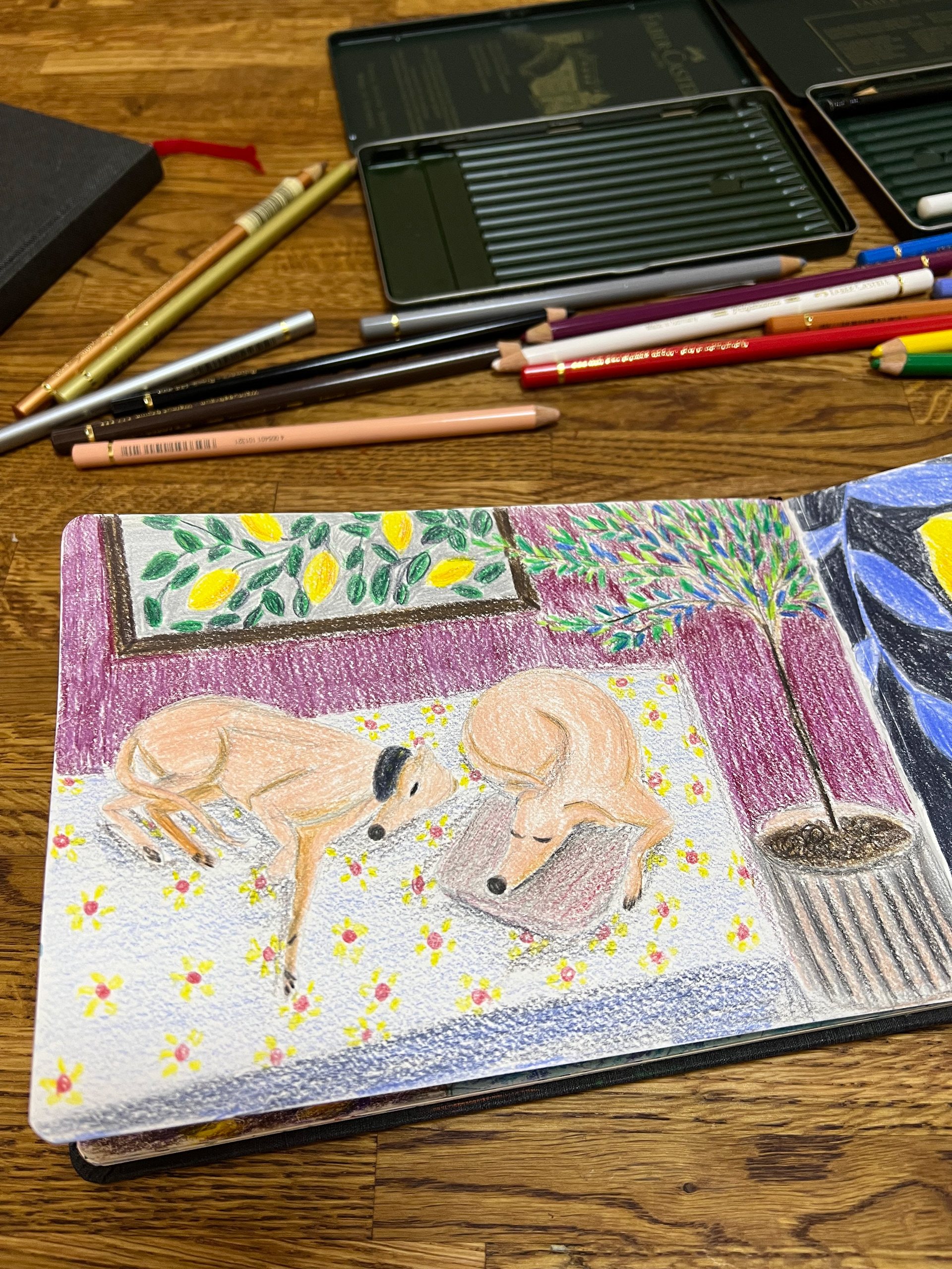 Whippets, color pencils, sketchbook illustration 2023