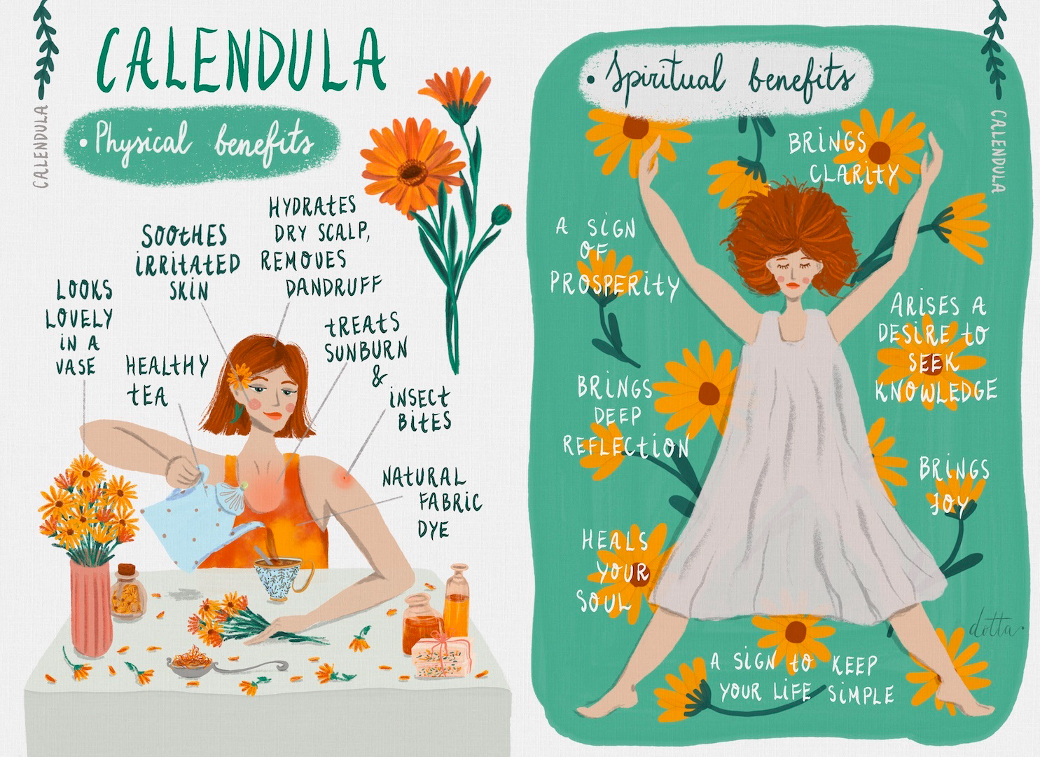 Ilustrācija par kliņģerīti, MATS Bootcamp ietvaros, 2022