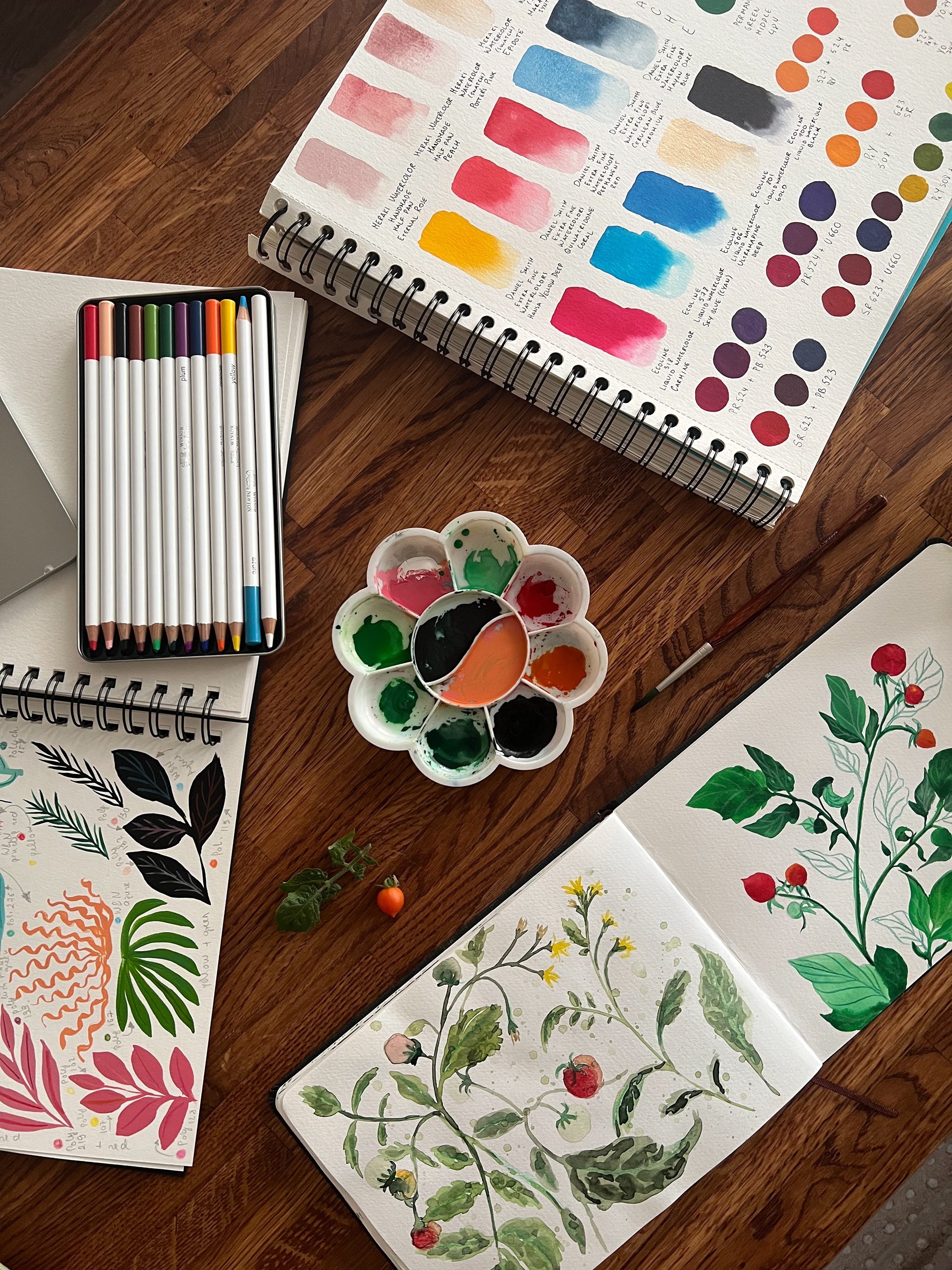 Sketchbook illustrations, tomatos, gouache, watercolor 2023