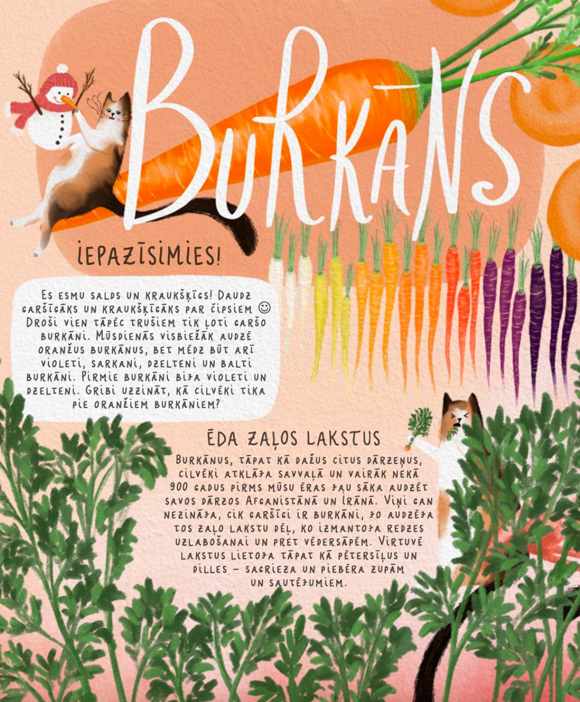 Ilustrācija par burkānu grāmatai Garšīgie stāstiņi