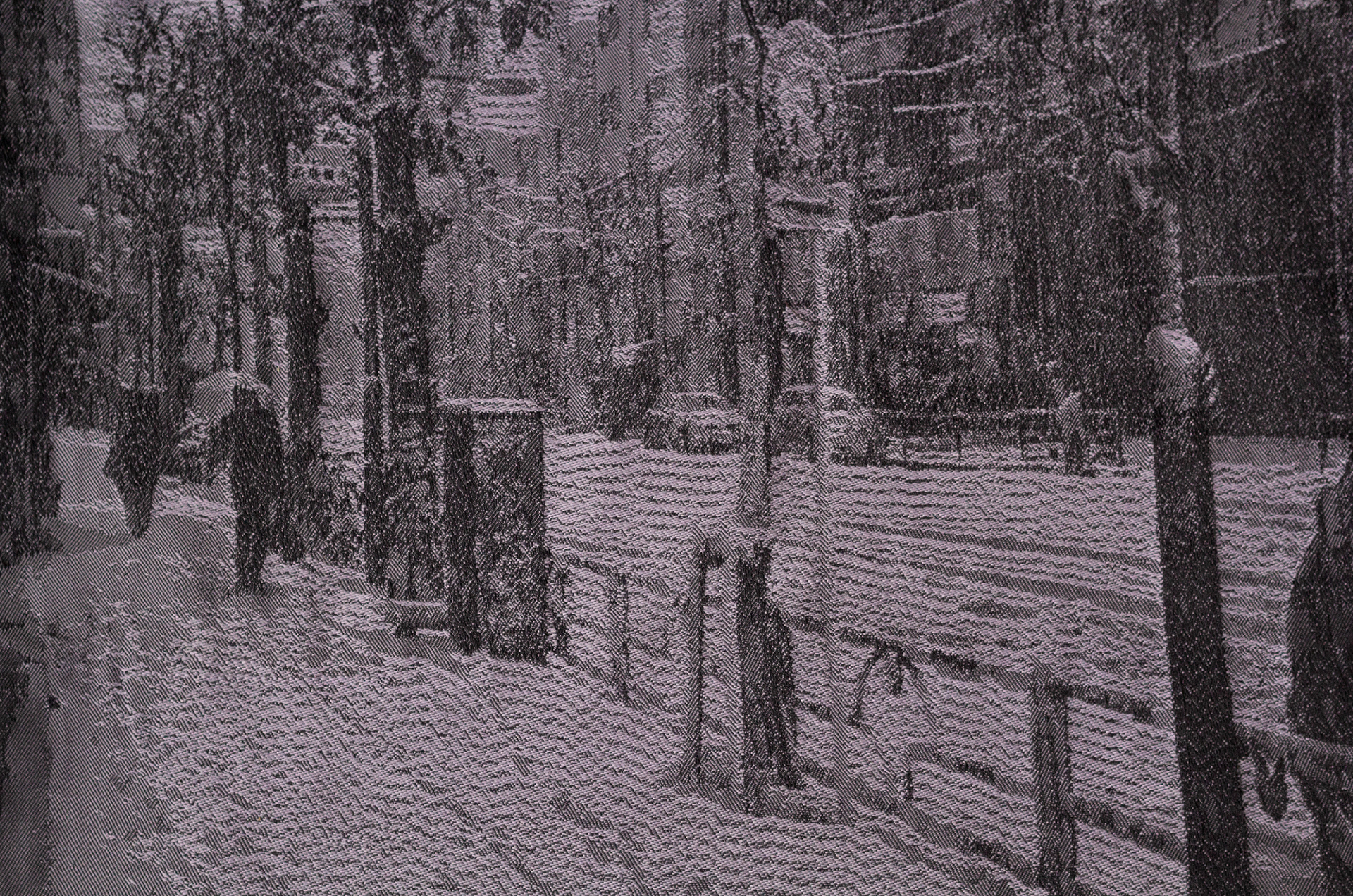 jacquardia valokuvasta, "Waseda"