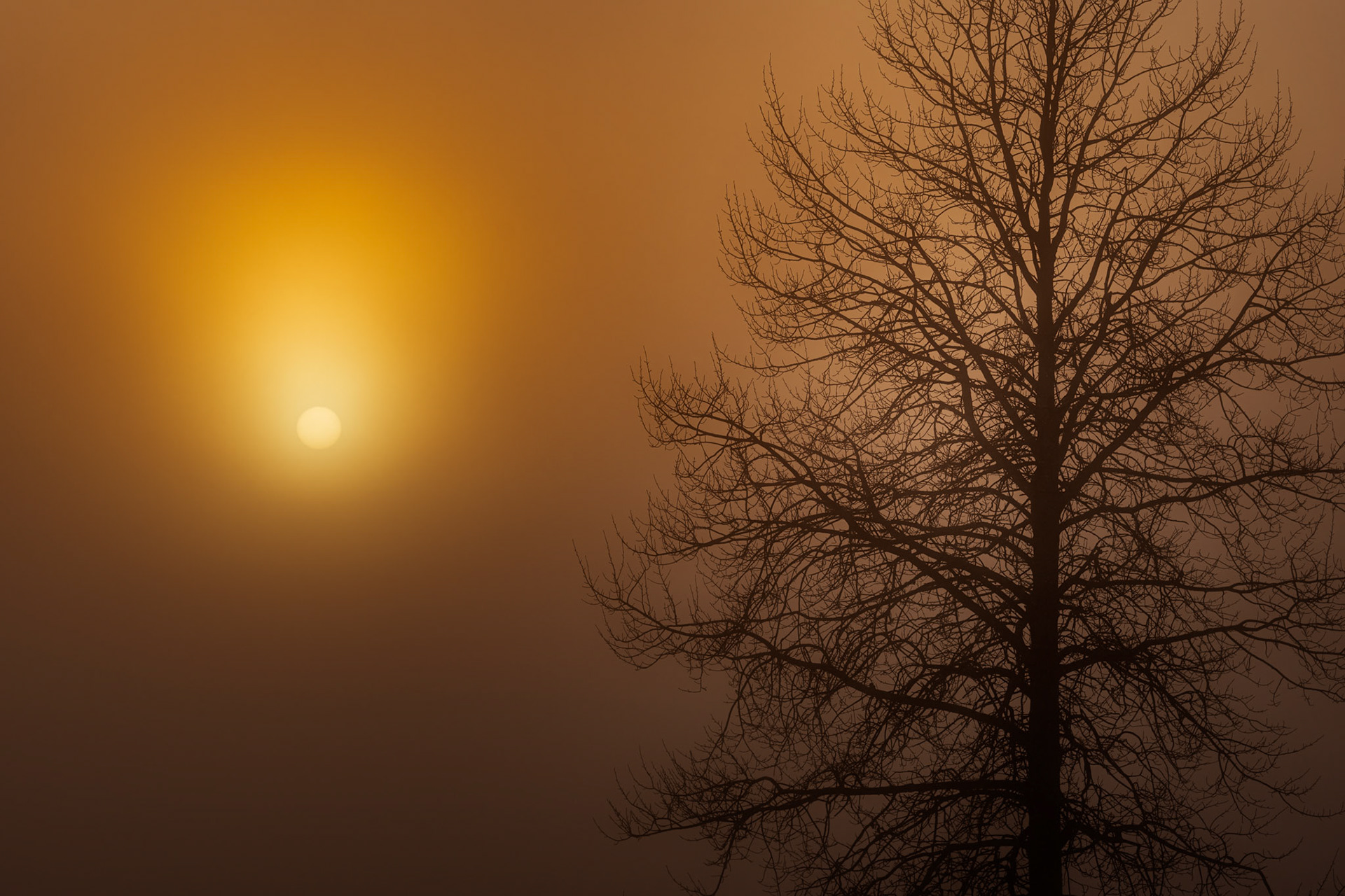 Sun in fog. Cold day at the beginning of winter.