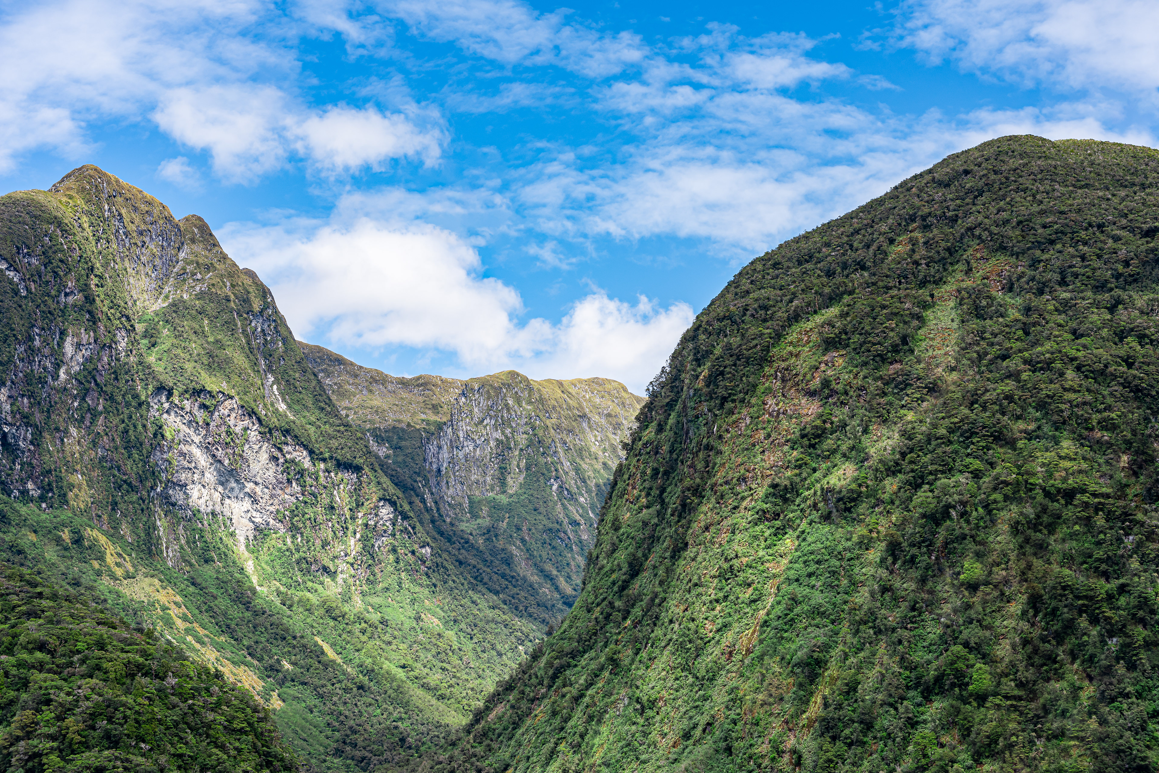 New Zealand nature. Doubtful Sound and green vegetation on the hillsides.